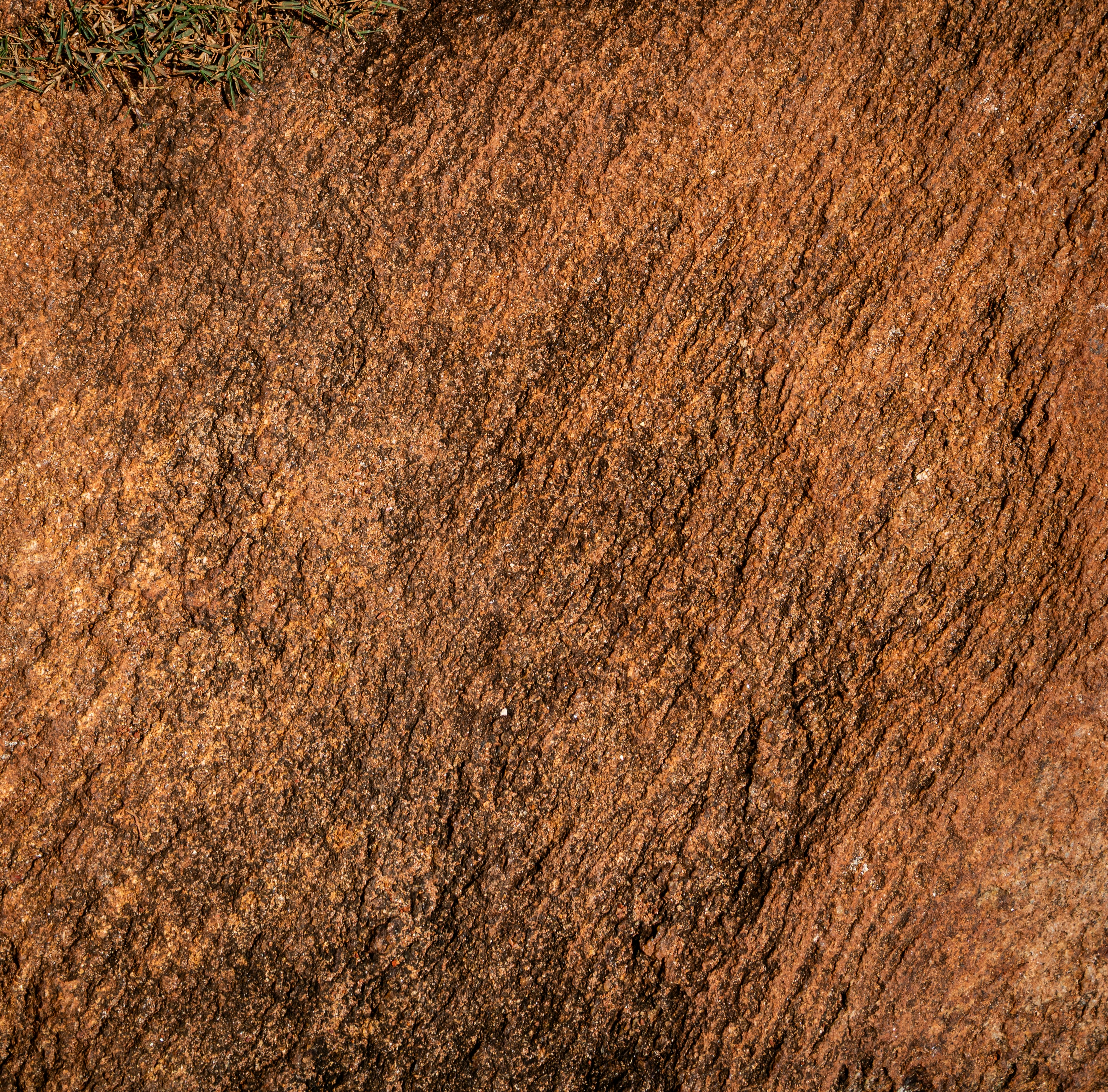 Textured reddish-brown rock surface with subtle patterns and dark spots.