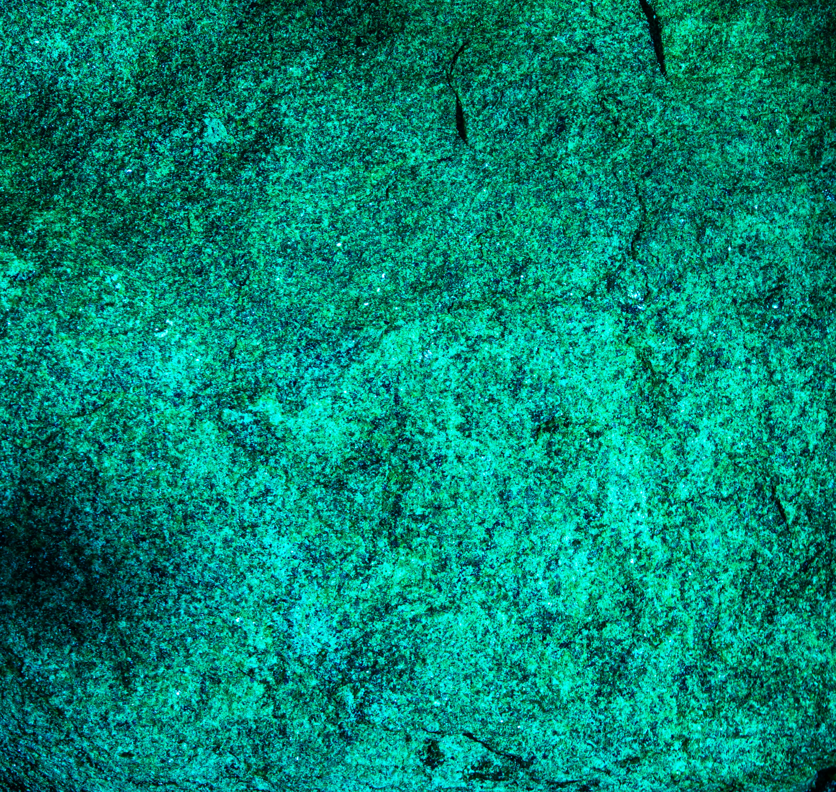 A vibrant green and teal textured rock surface.