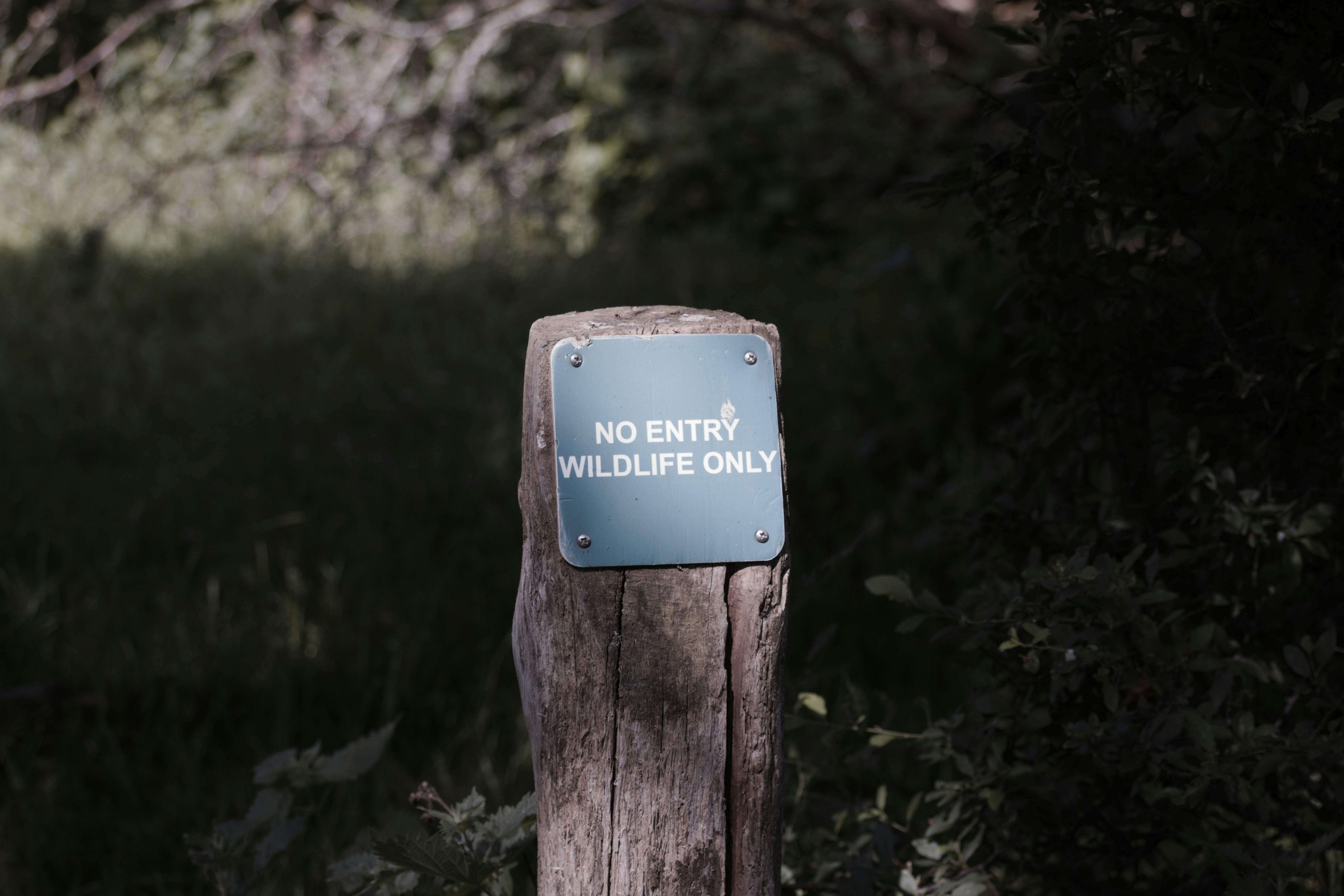 A "no entry wildlife only" sign on a wooden post.