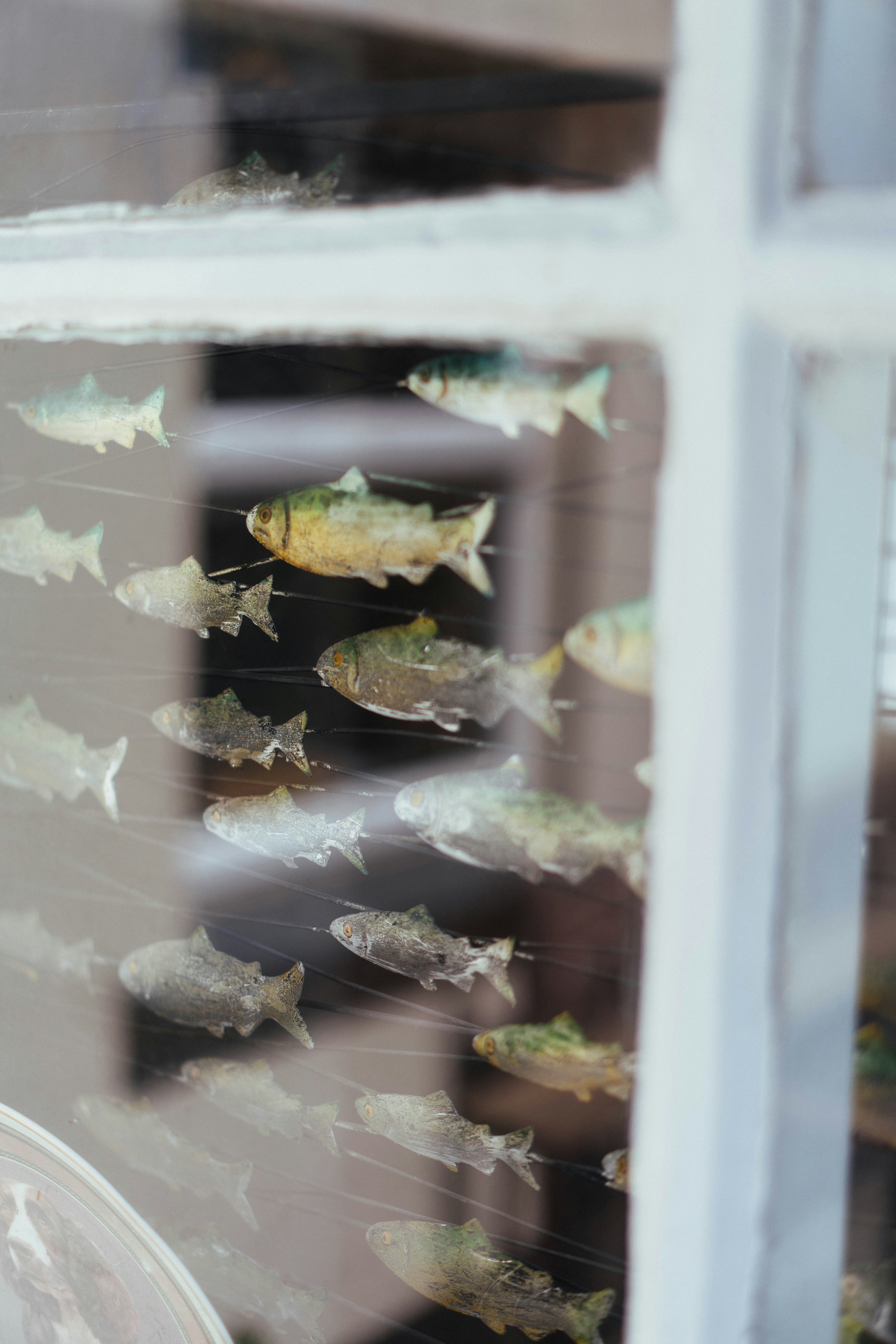 Model ikan dekoratif tergantung di tampilan jendela.