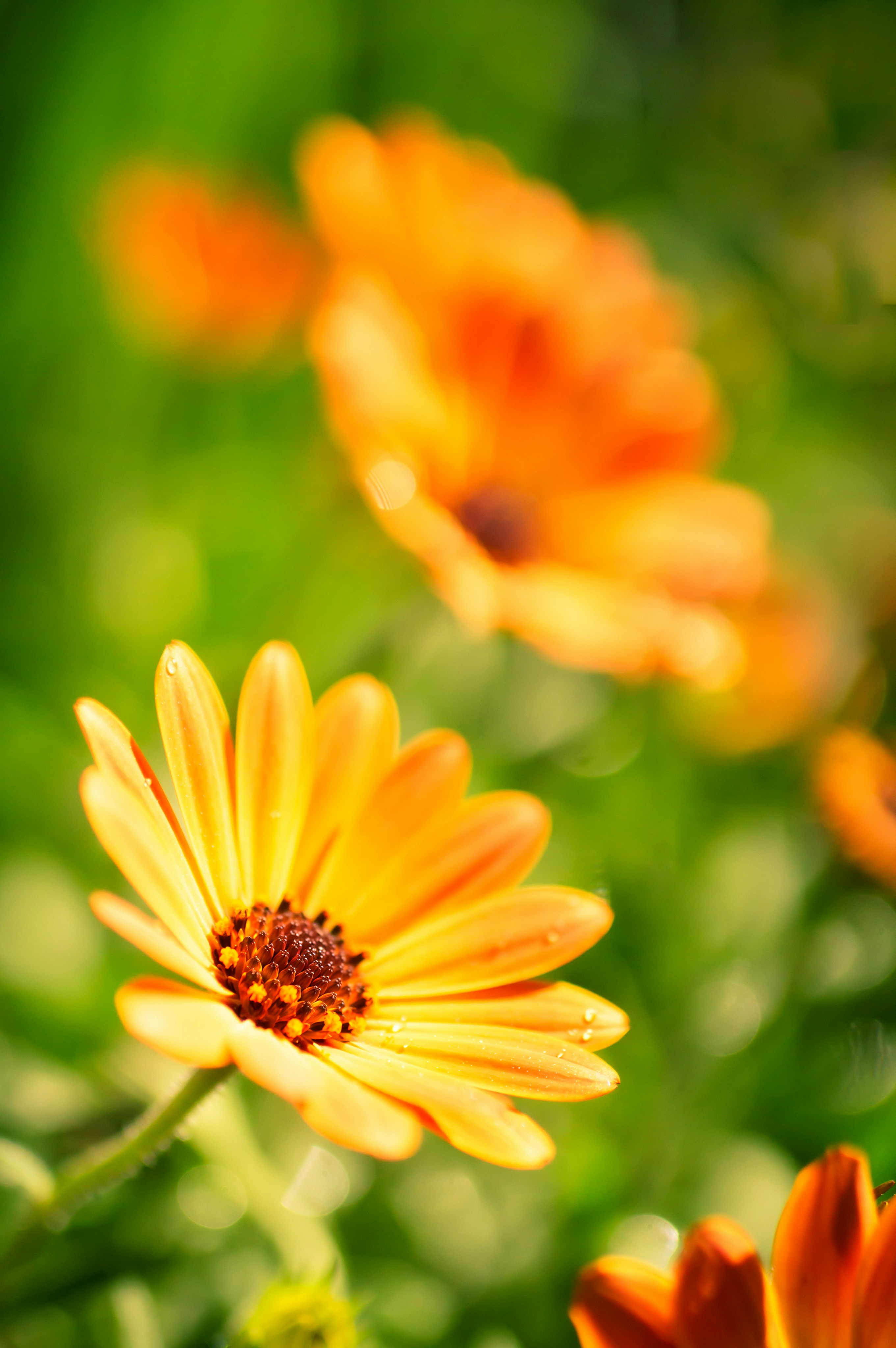 Photo by sicunov