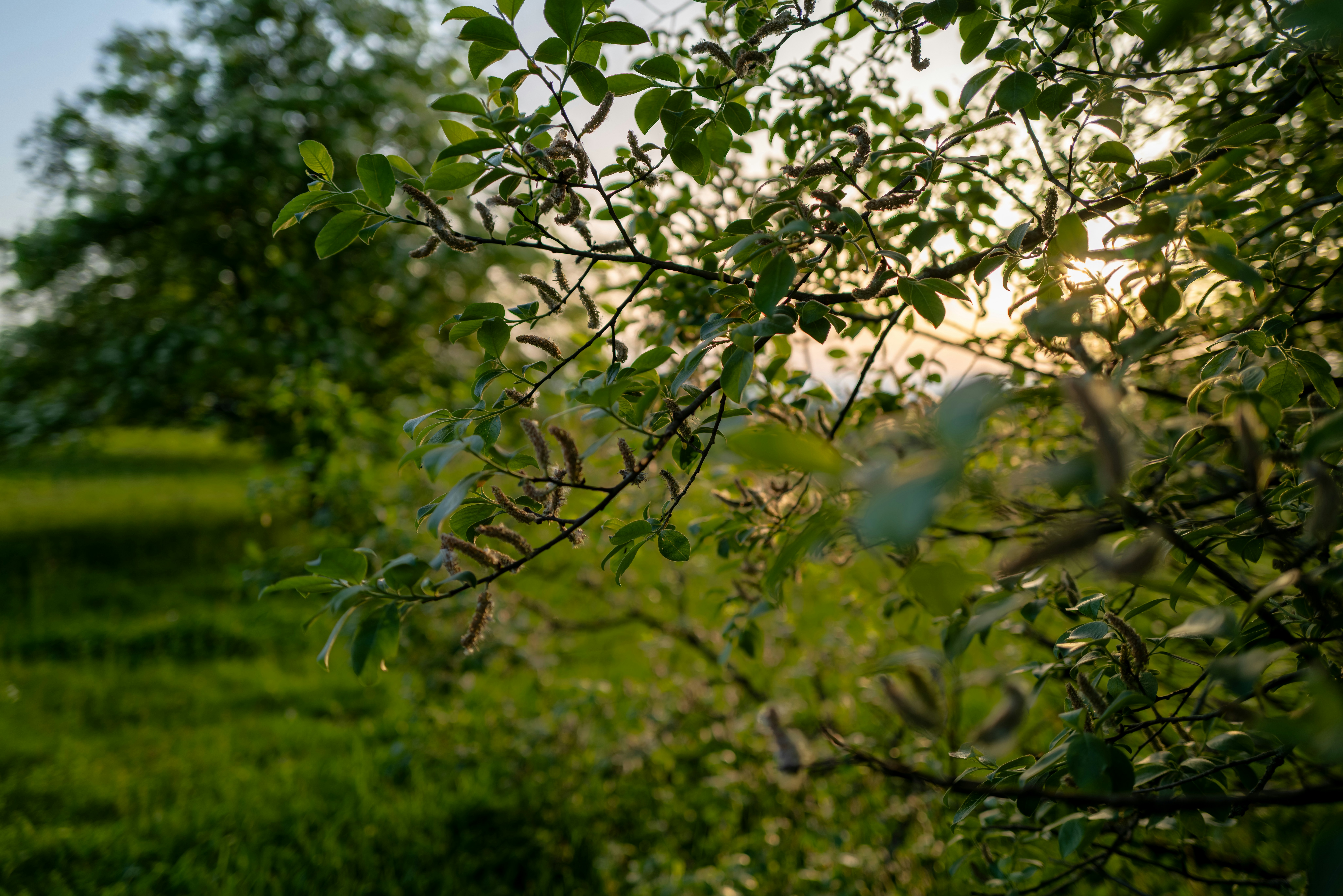 Photo by maikastheimer