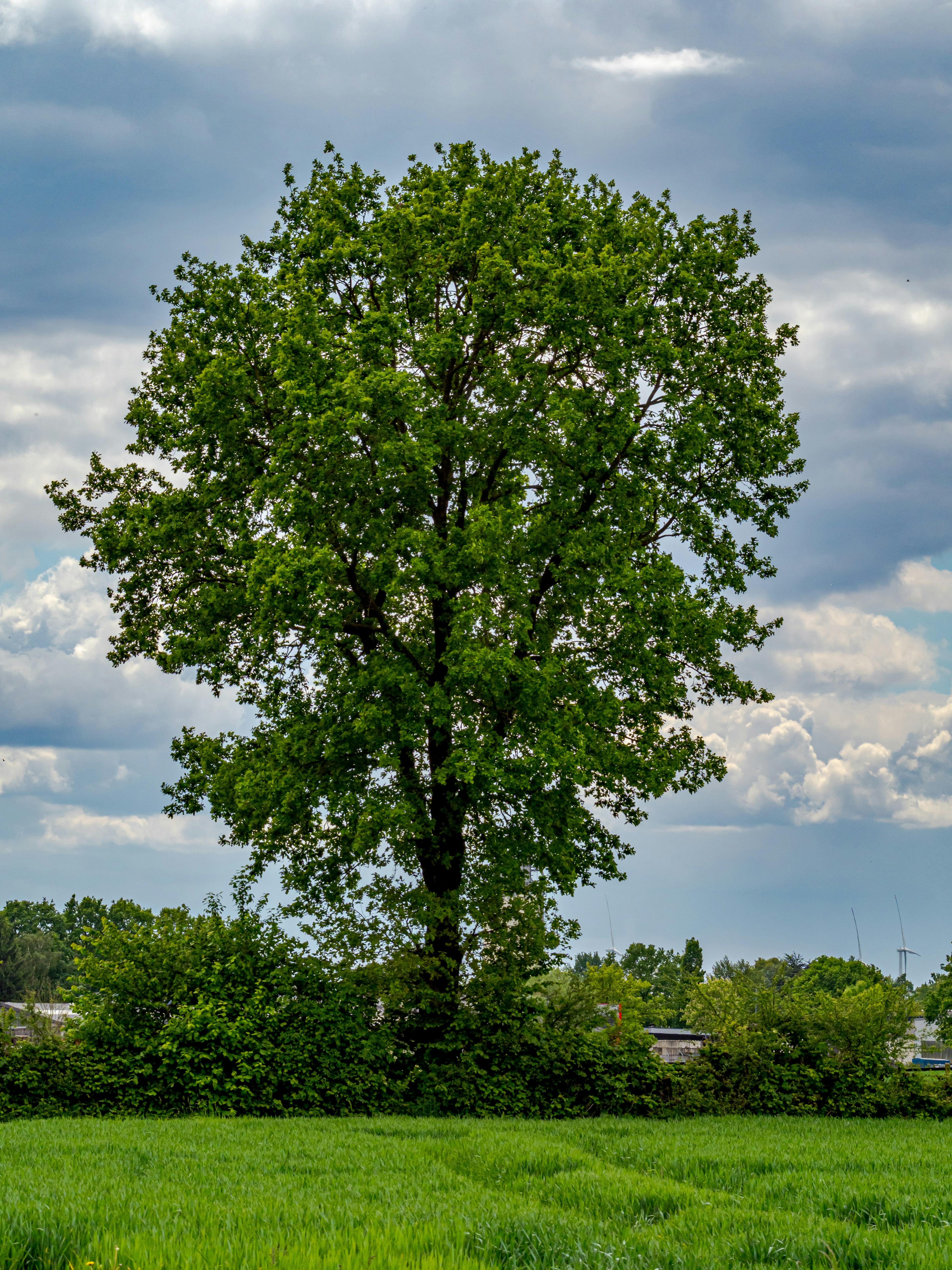 Photo by skstrannik