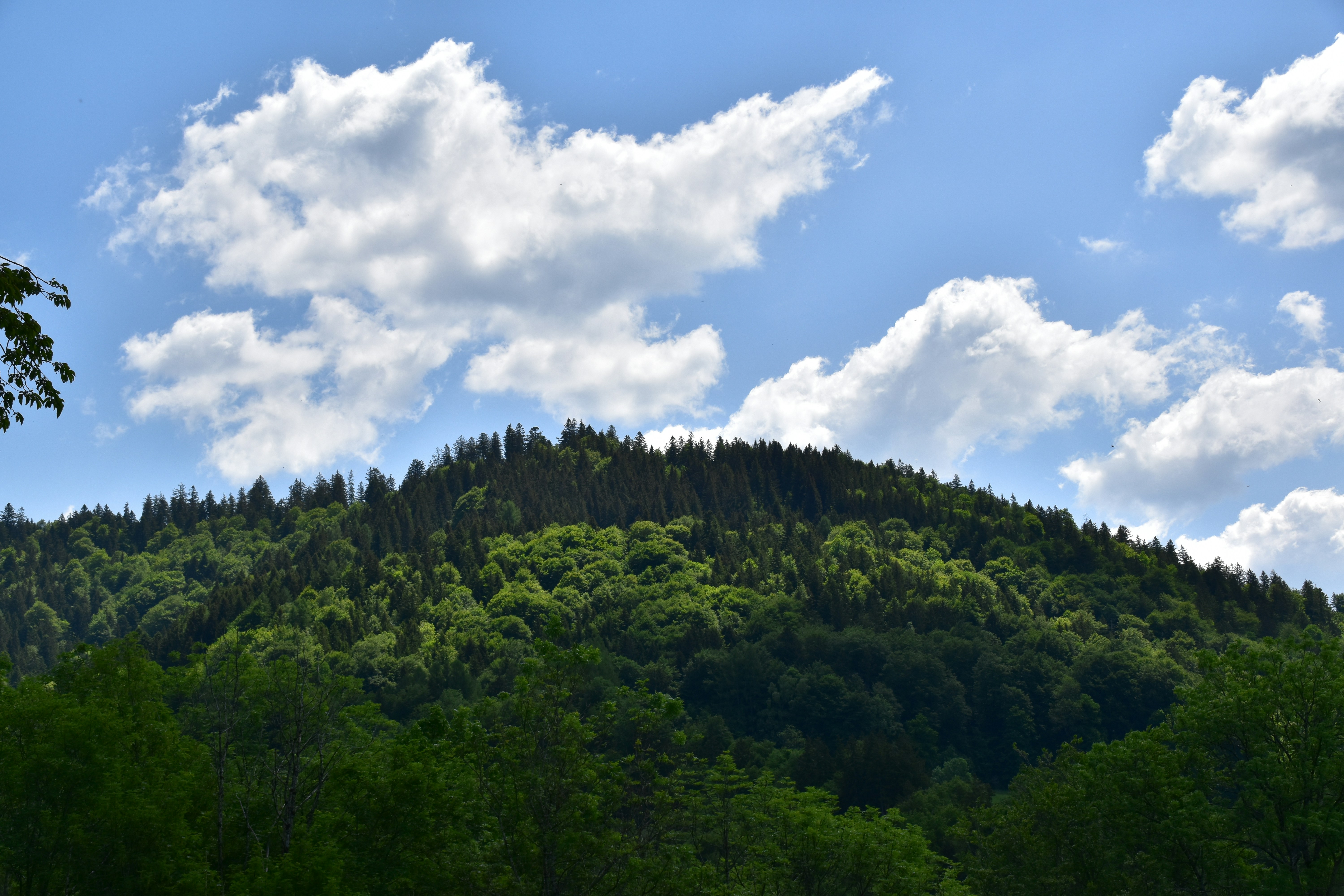 Photo by heilbron