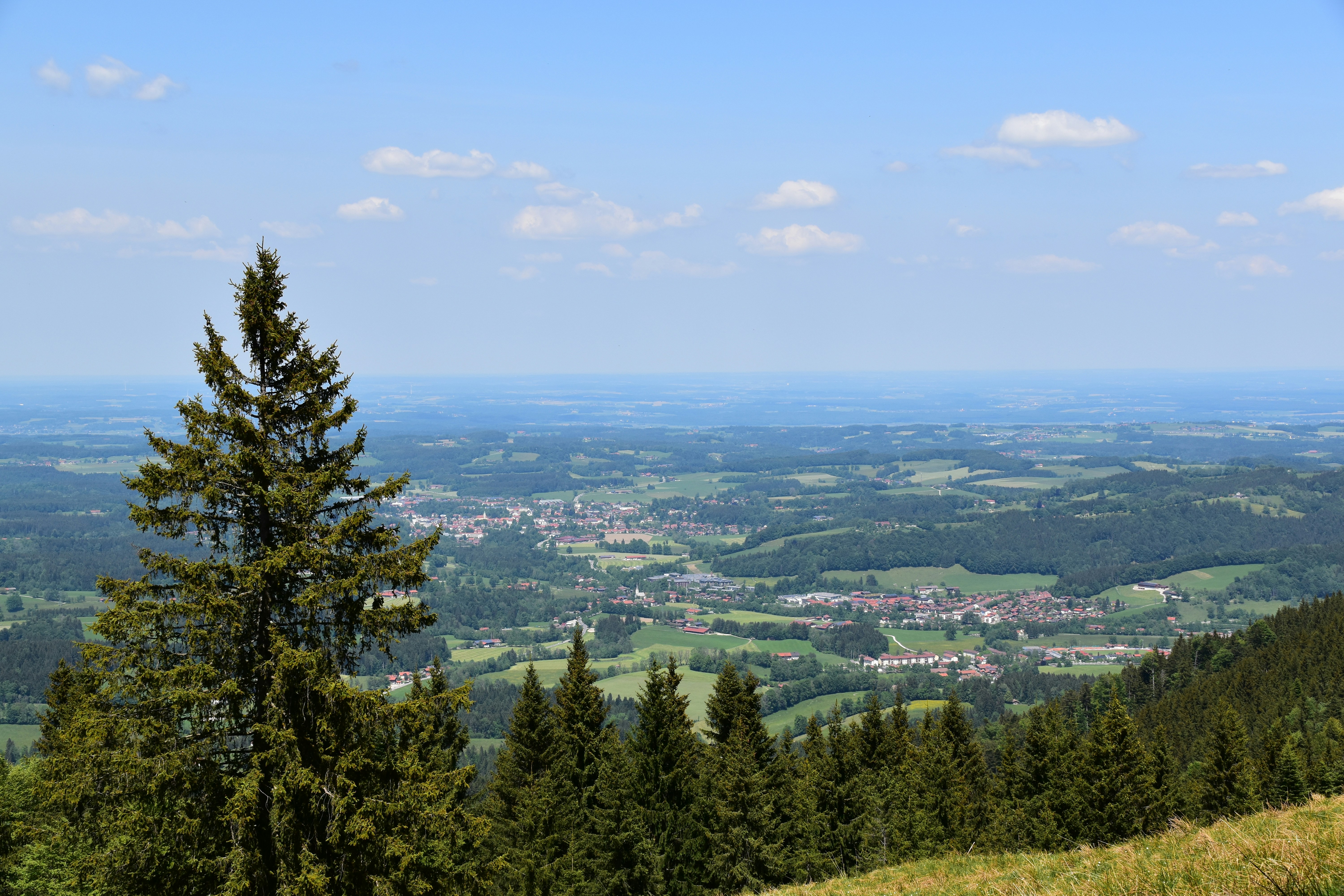 Photo by heilbron