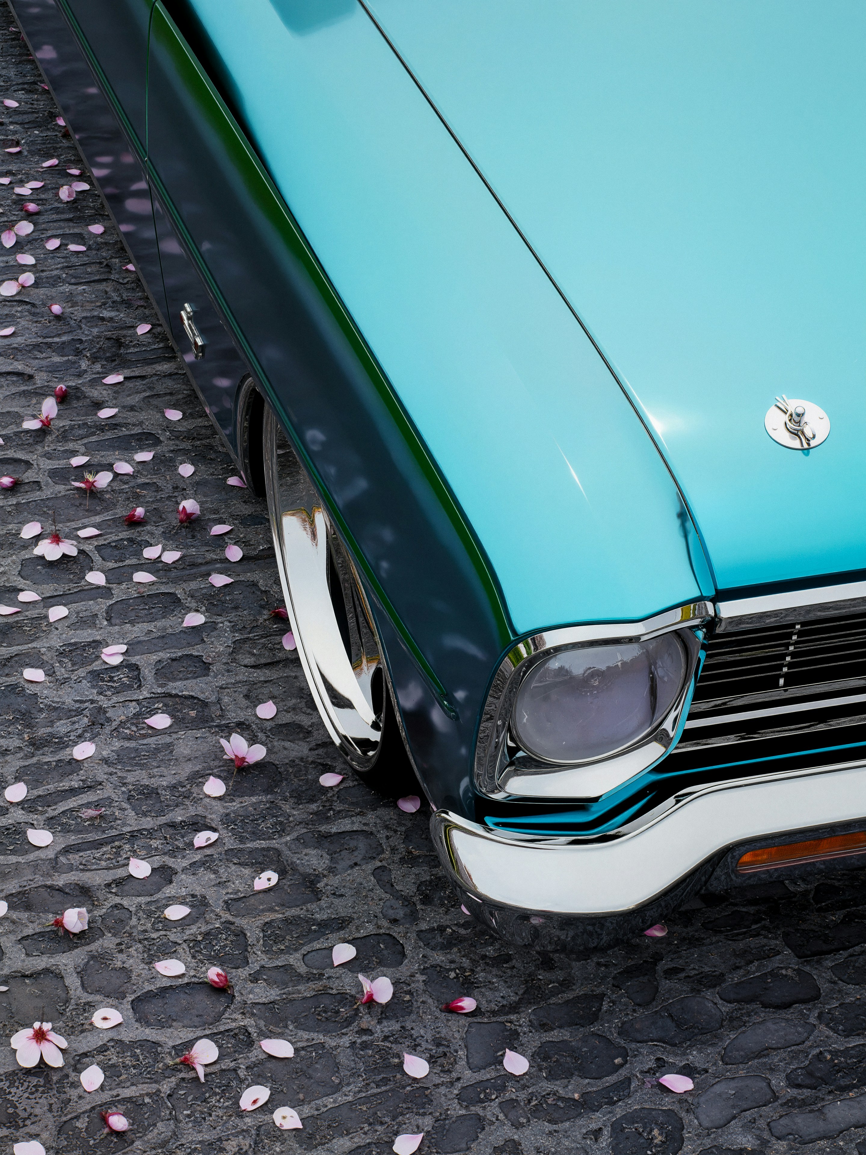 Car Spring Pictures | Download Free Images on Unsplash