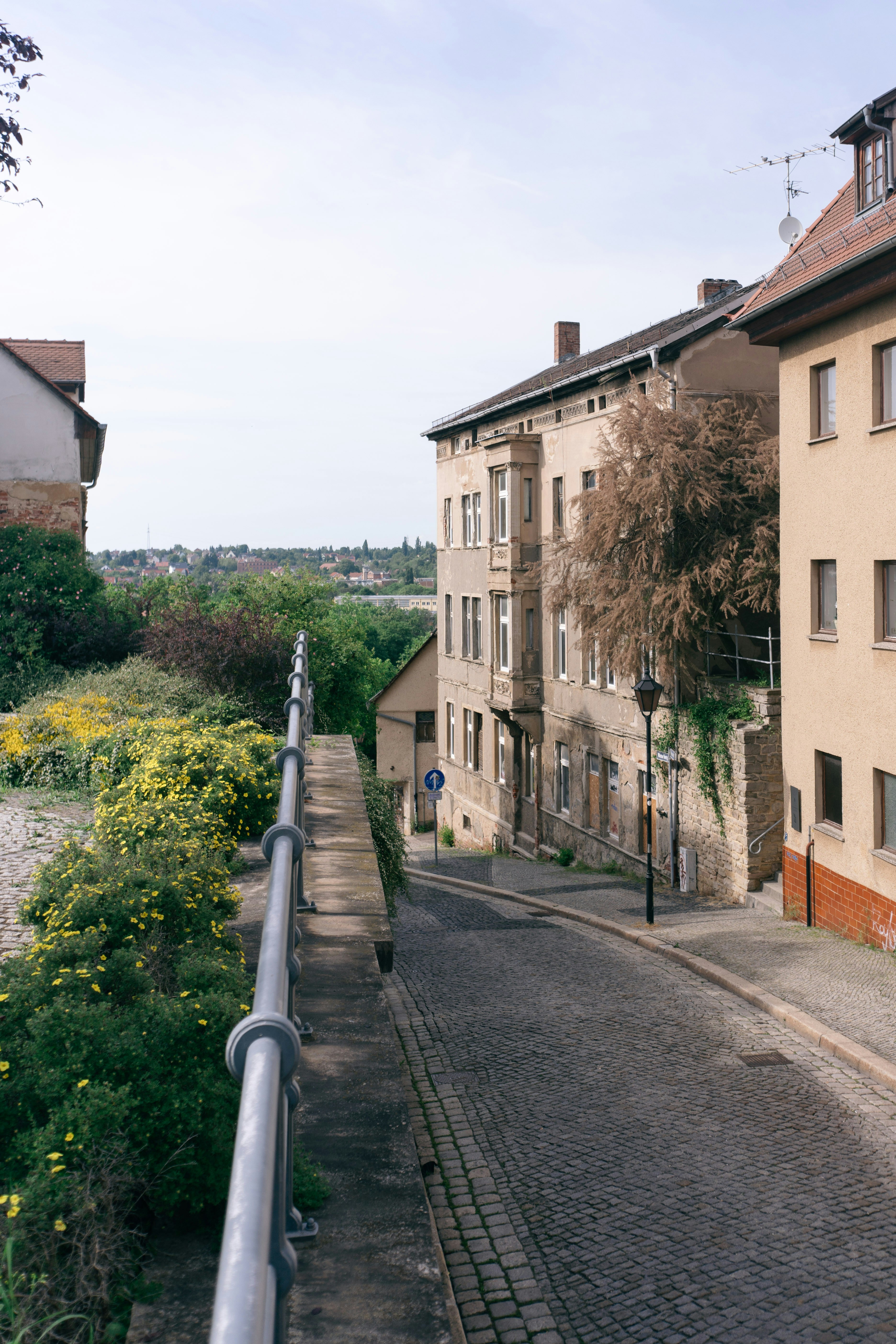 Photo by oliverguhr