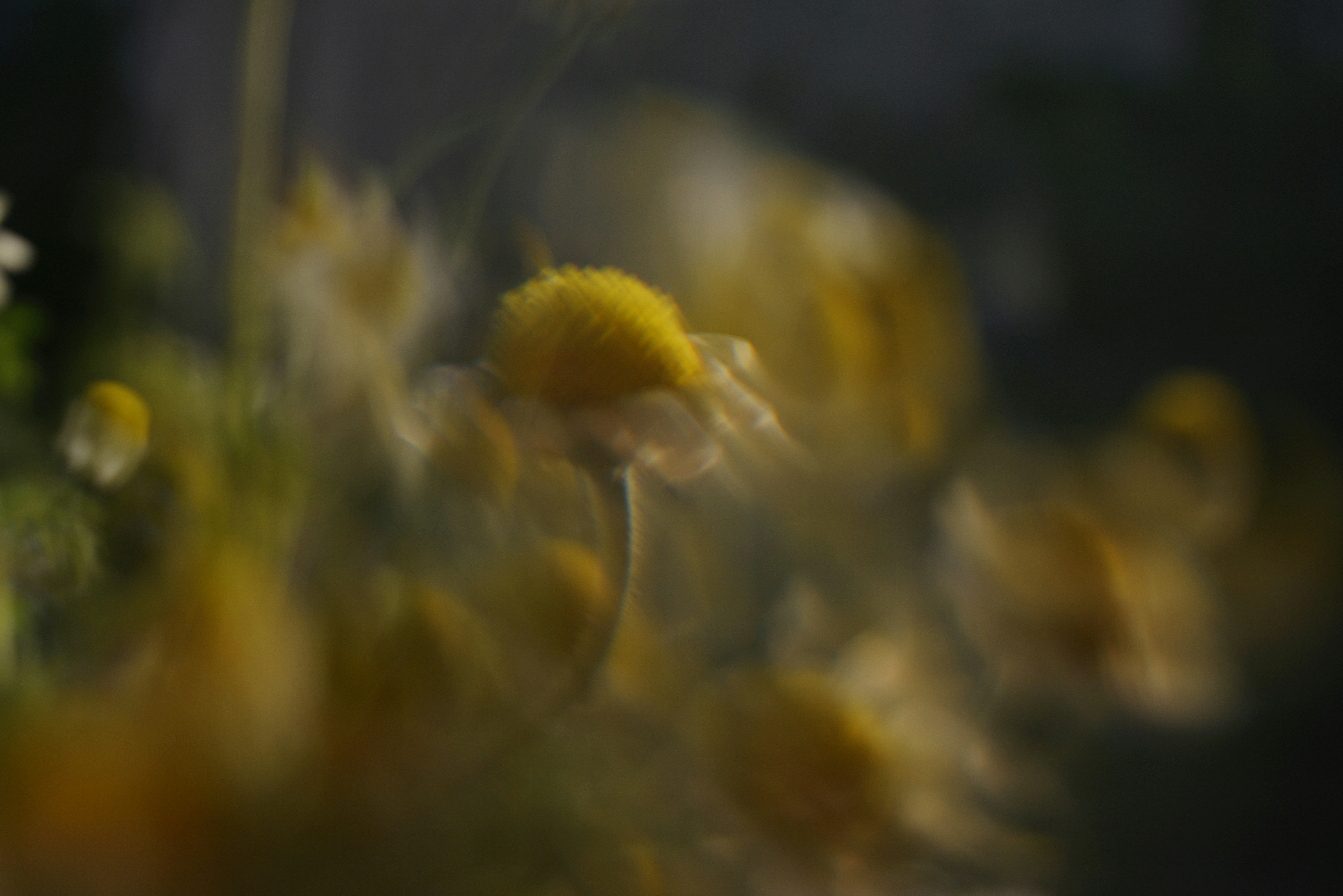Photo by cherstve_pechivo