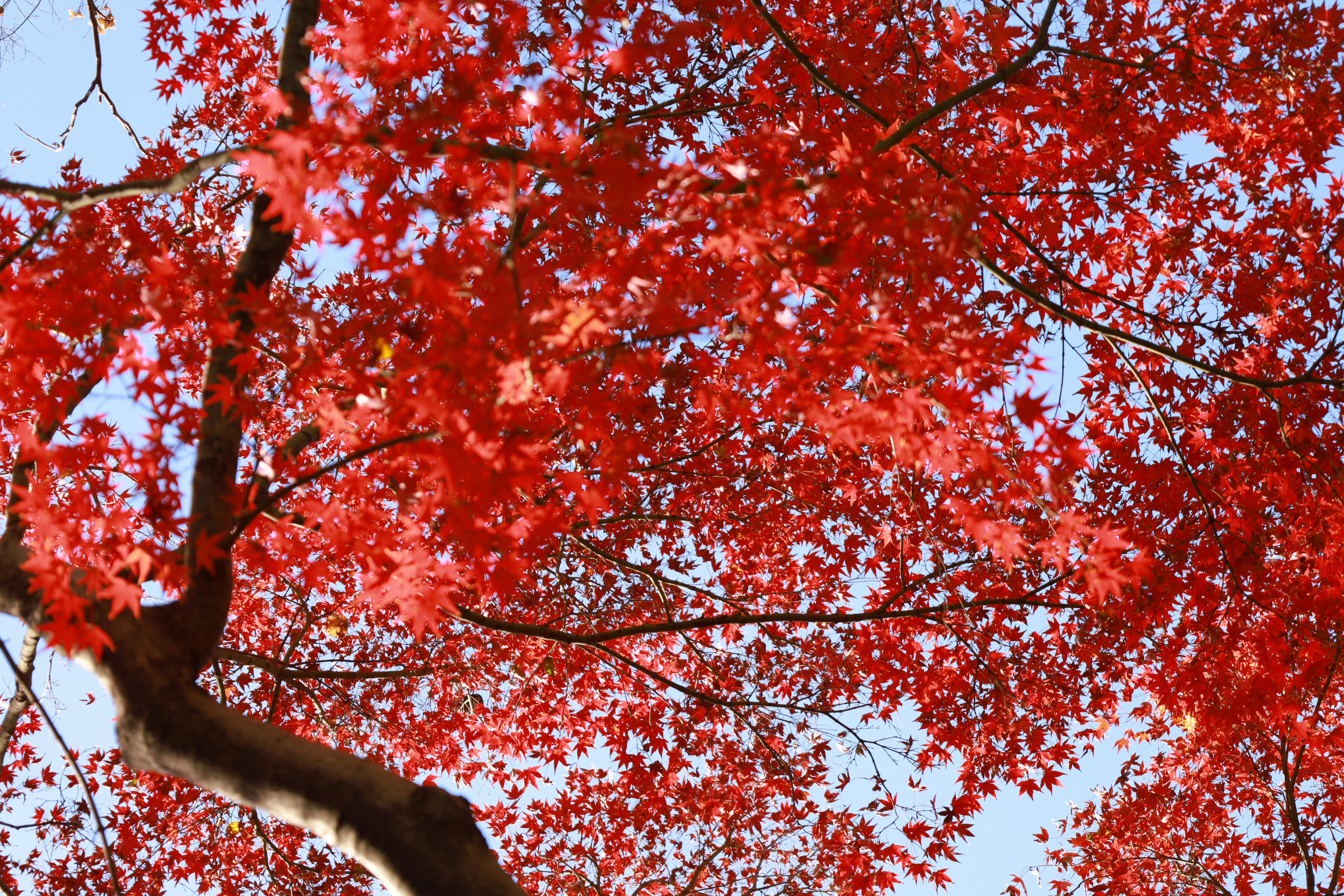 Photo by miaozong