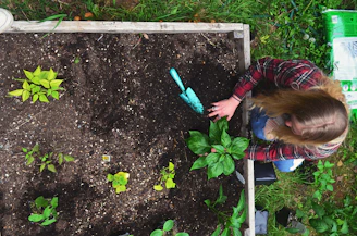 Gardener tending to plants in a raised garden bed.