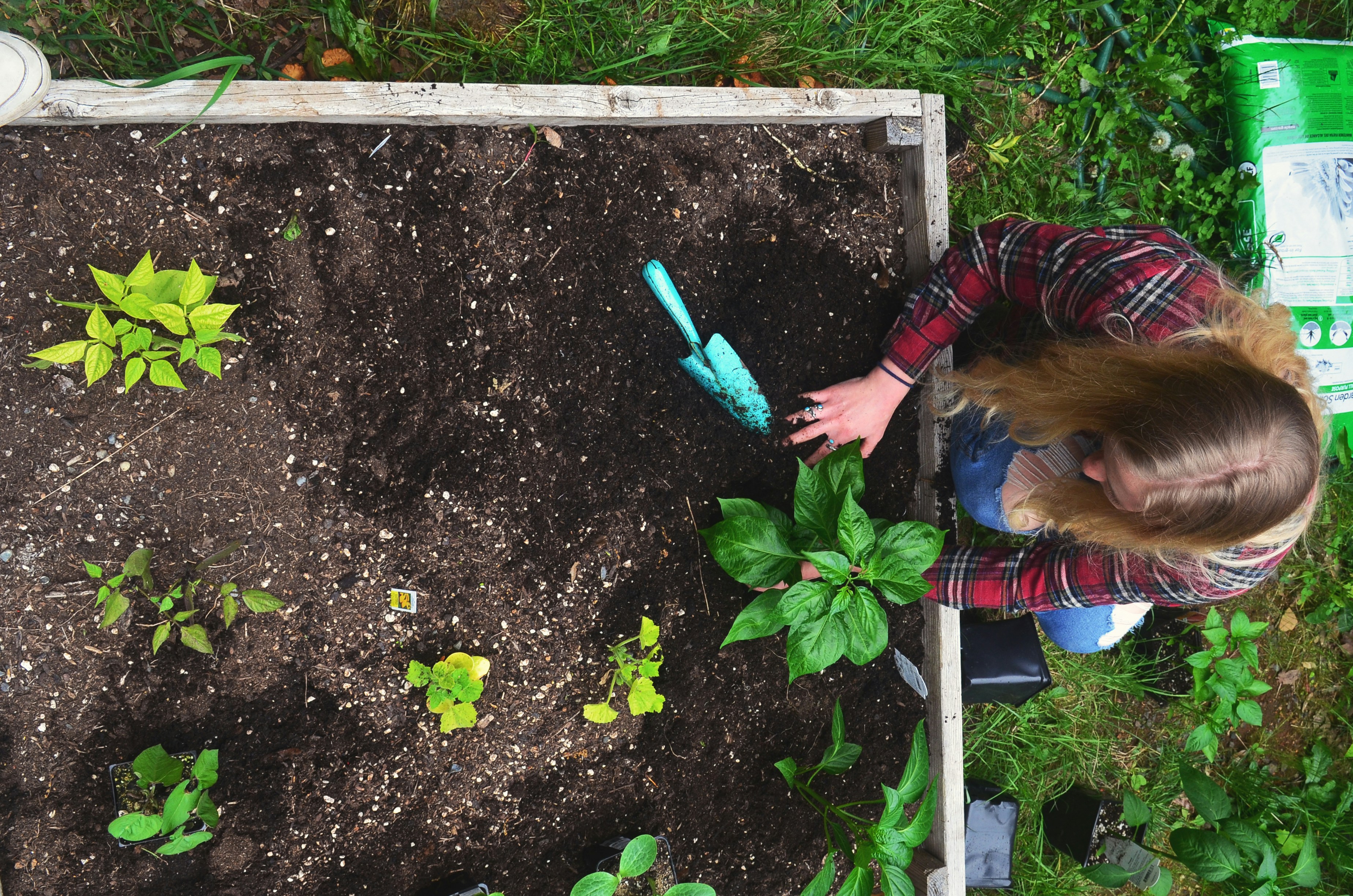 Growing Together: How Community-Rooted Agriculture Is Redefining Food Security in America
