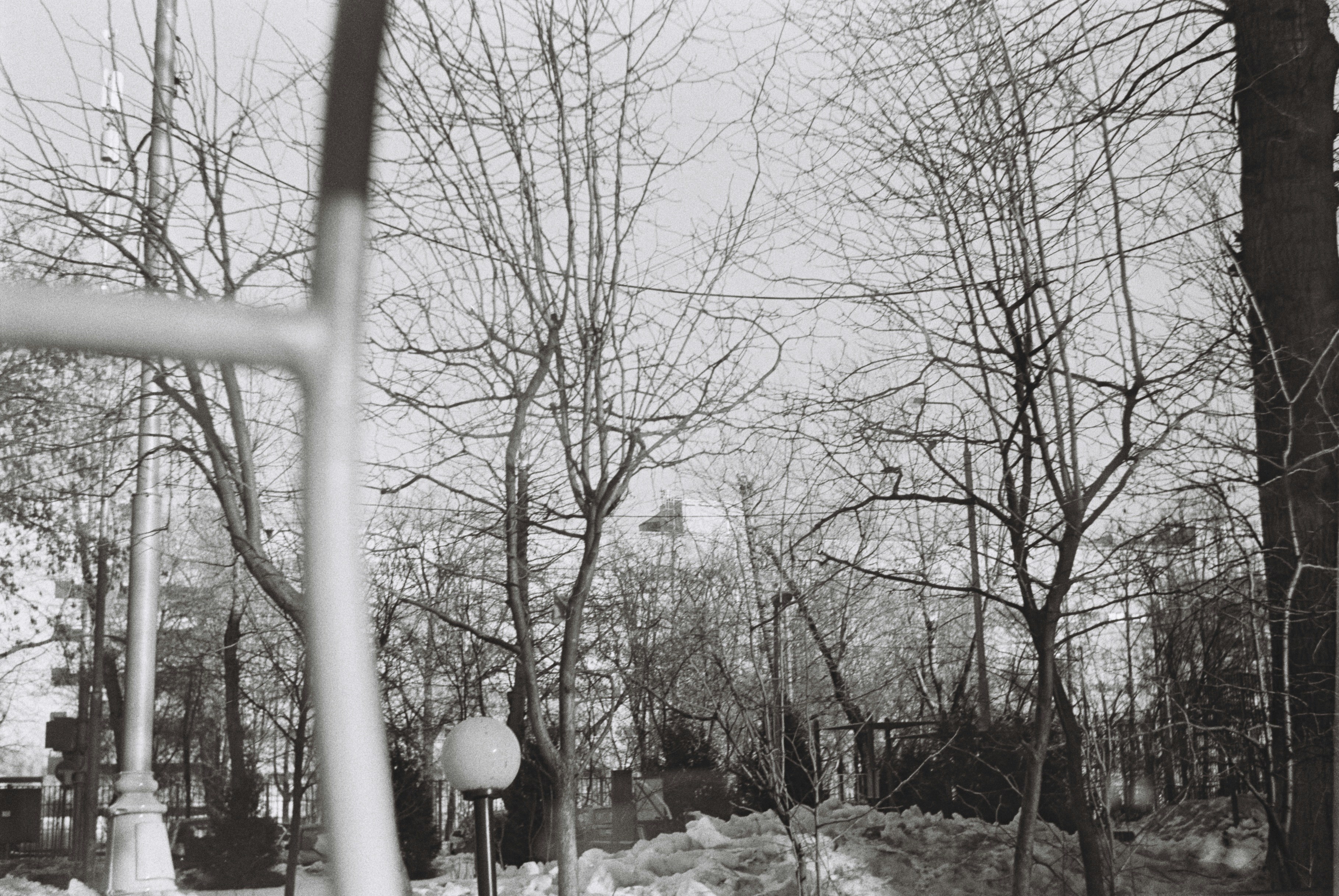 Photo by davalkina