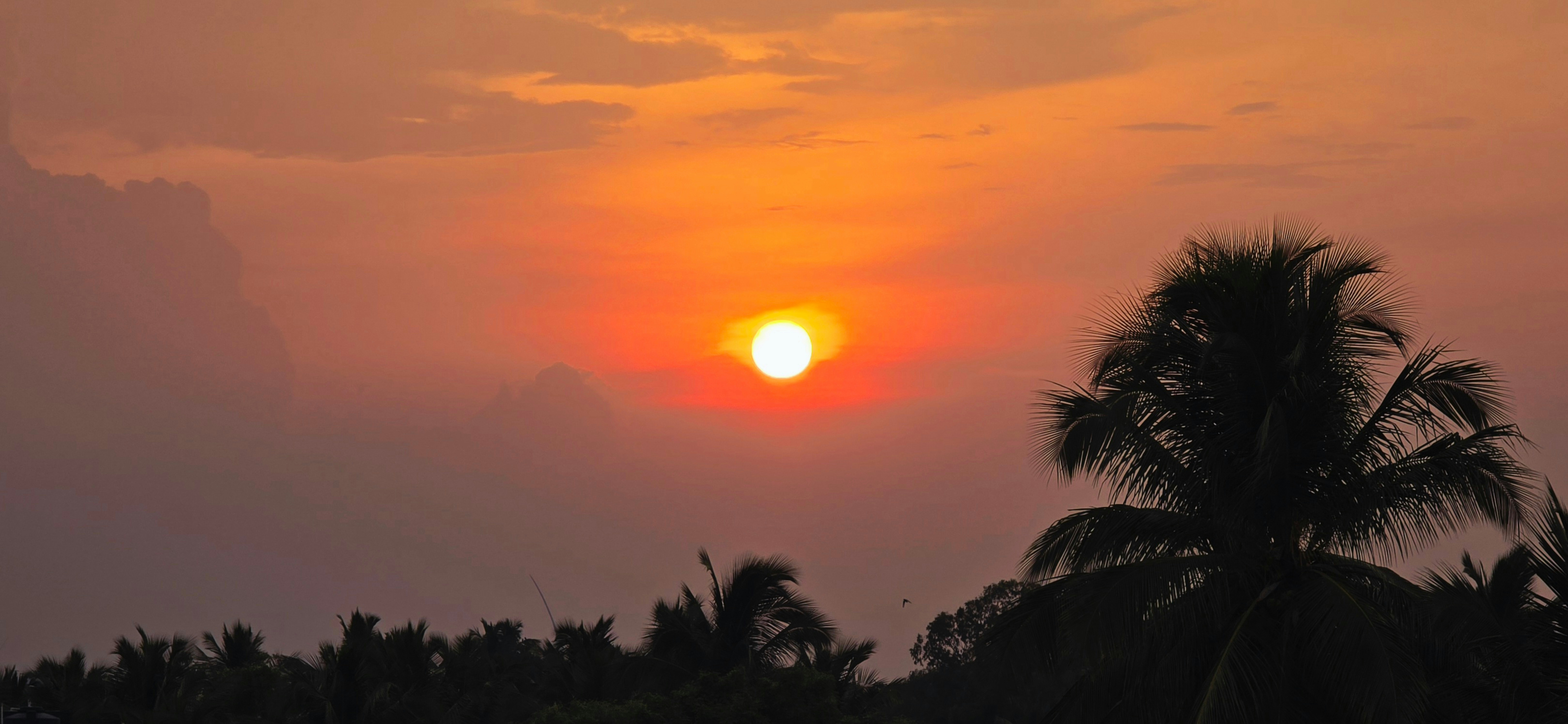 Photo by sudeep97