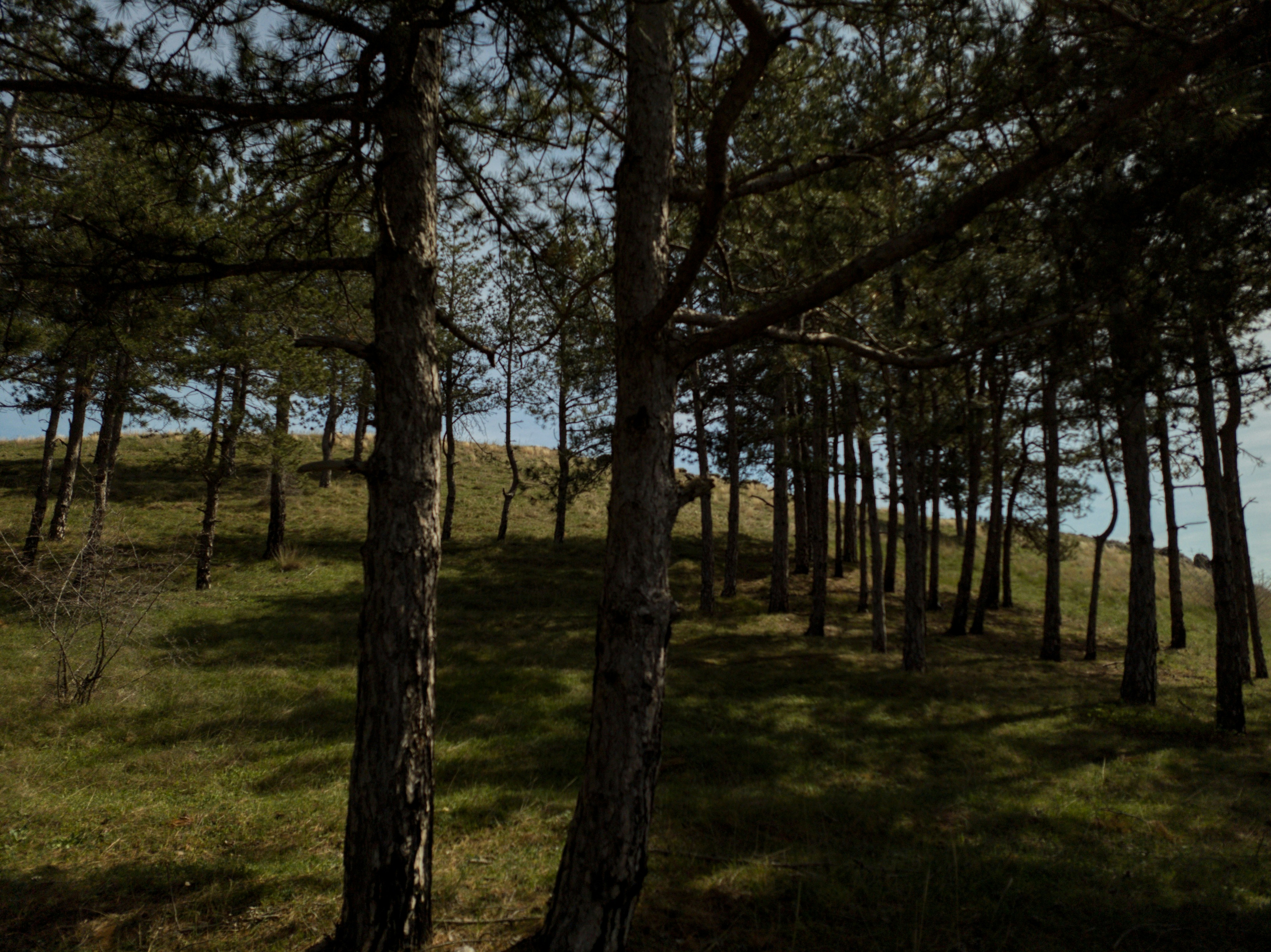 Photo by davalkina