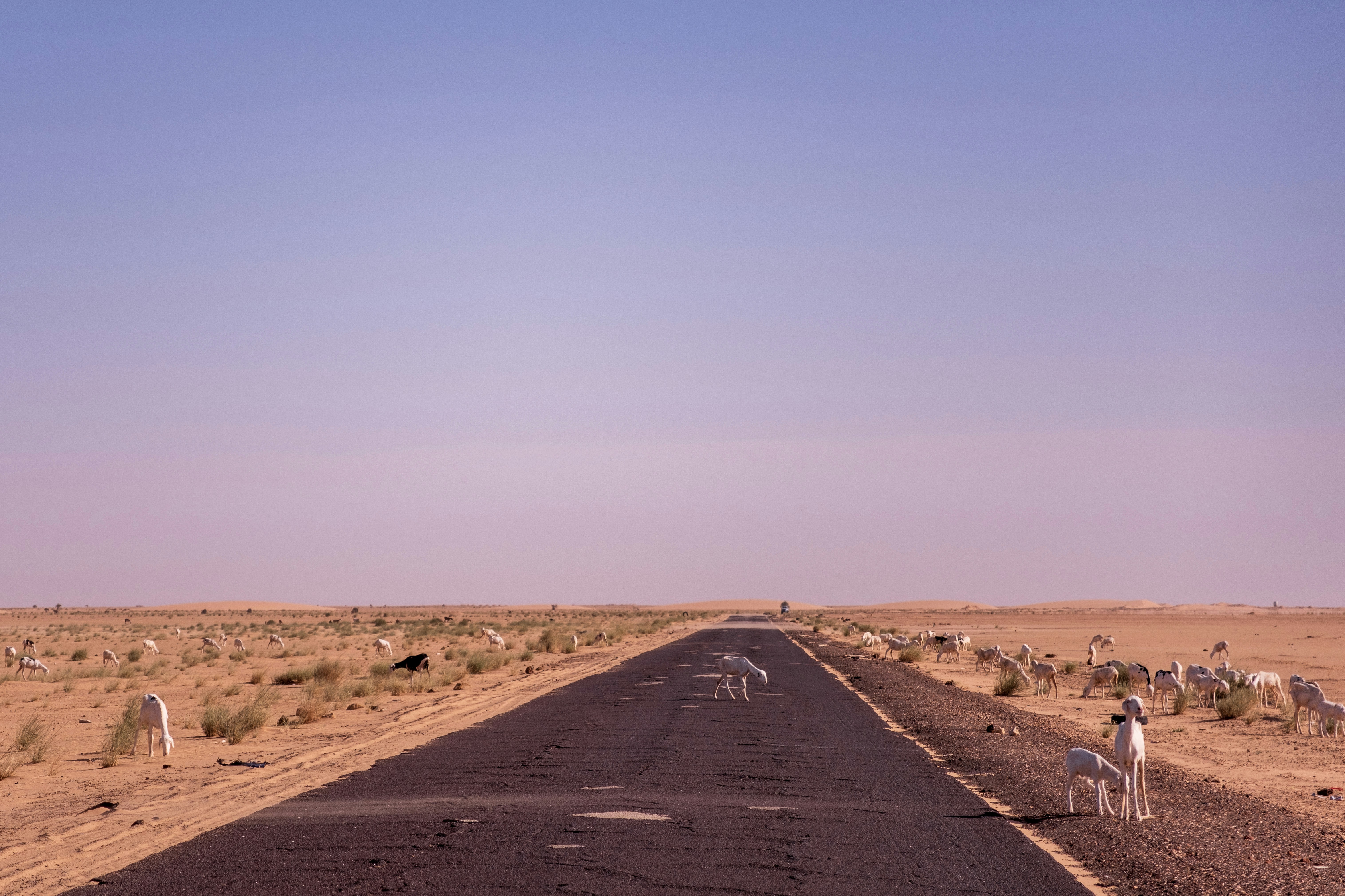 Mauritania Iron Ore Train: Ultimate 10-Day Desert to Coast Itinerary