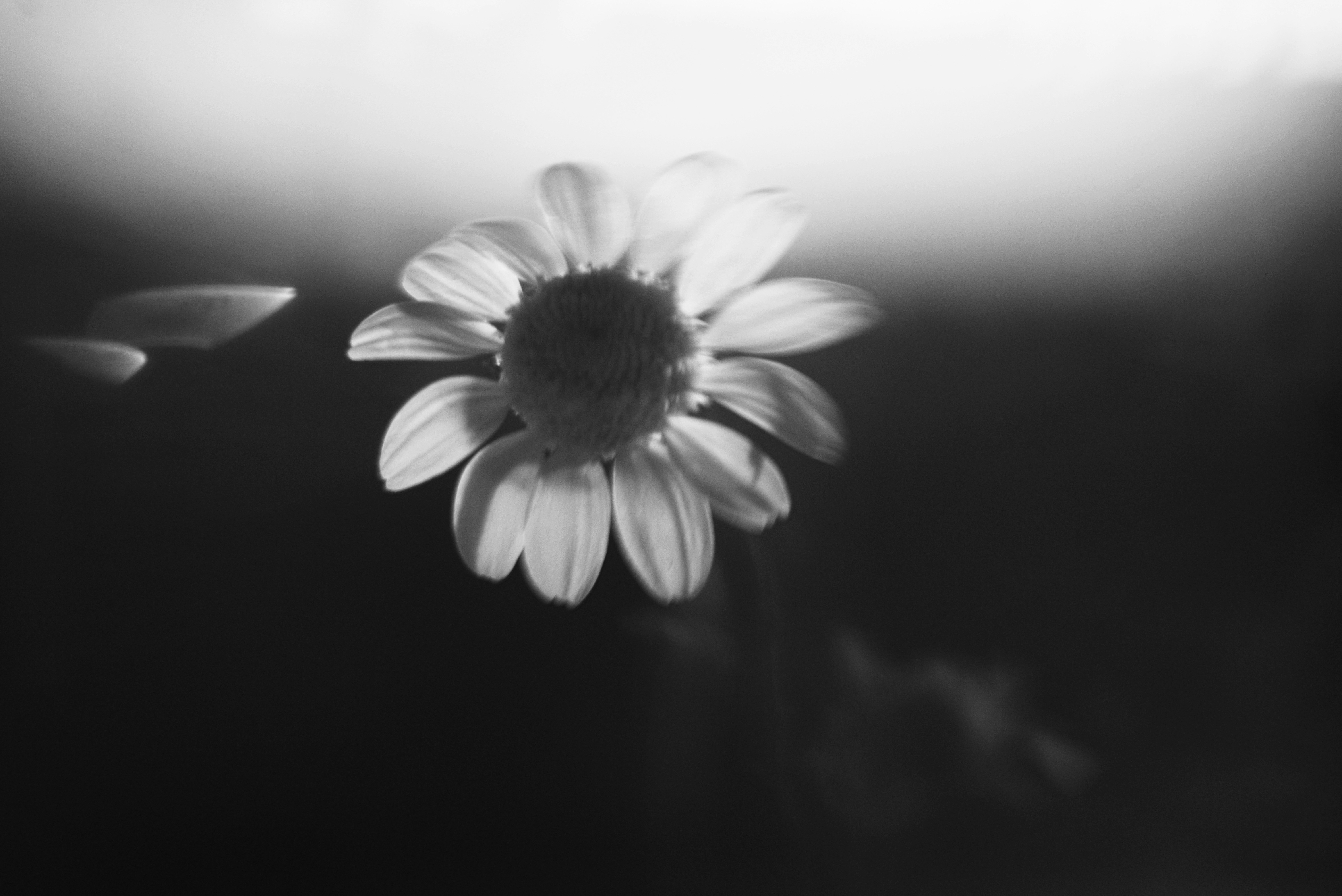 Photo by cherstve_pechivo
