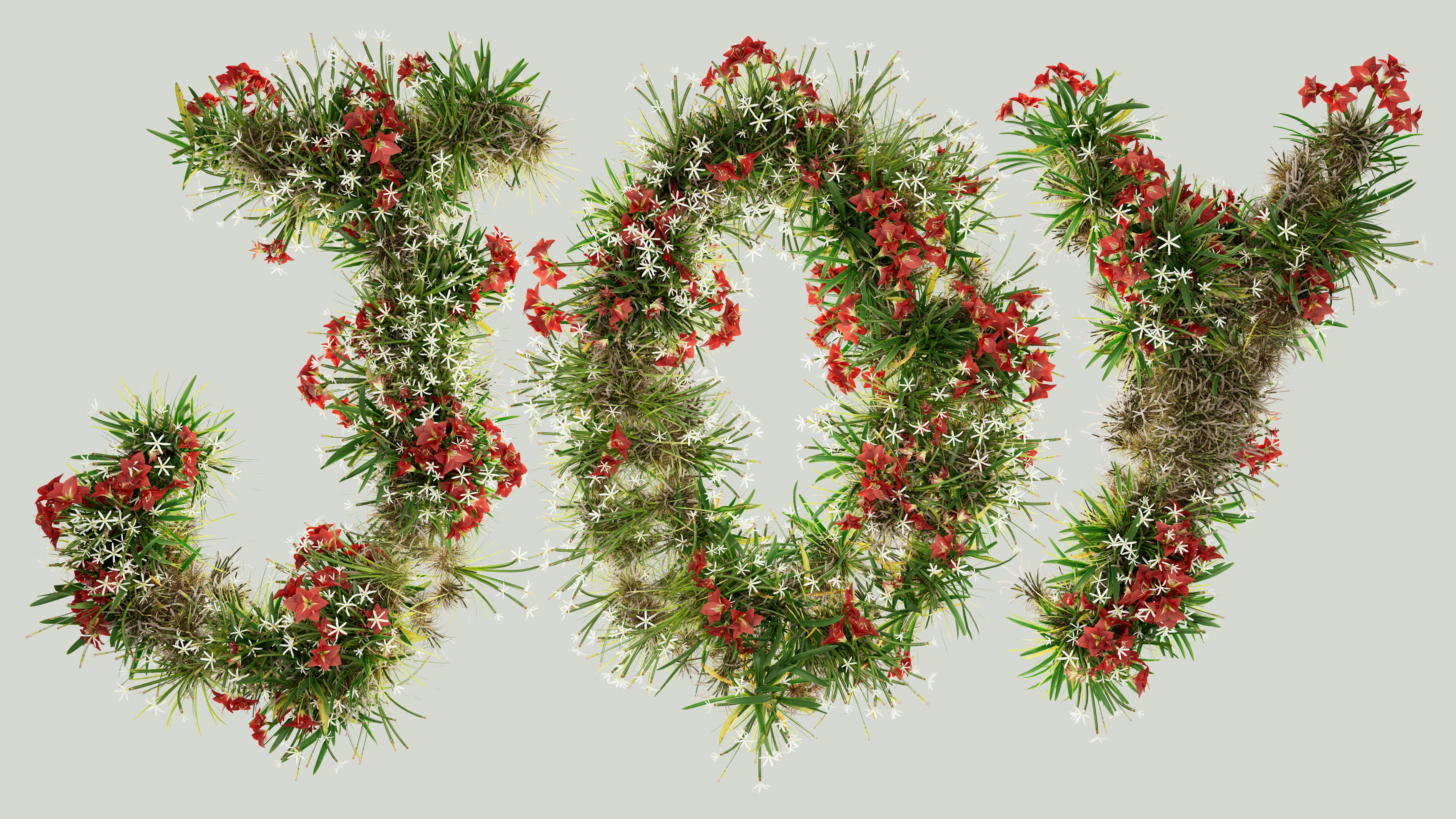 JOY - Flowers of Optimism - Wallpaper - 8K - 相关推荐