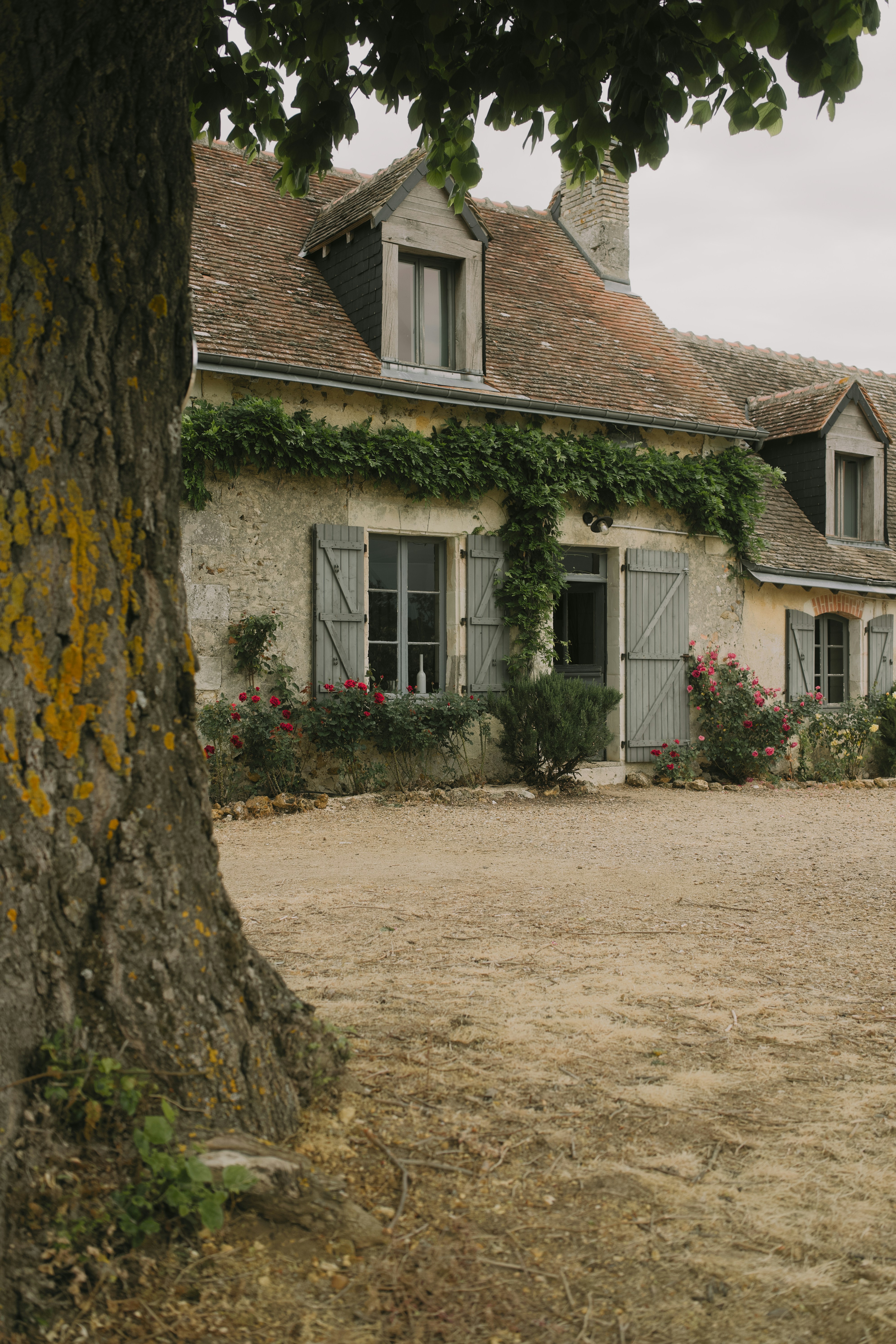 A rustic stone house with green shutters and climbing vines.