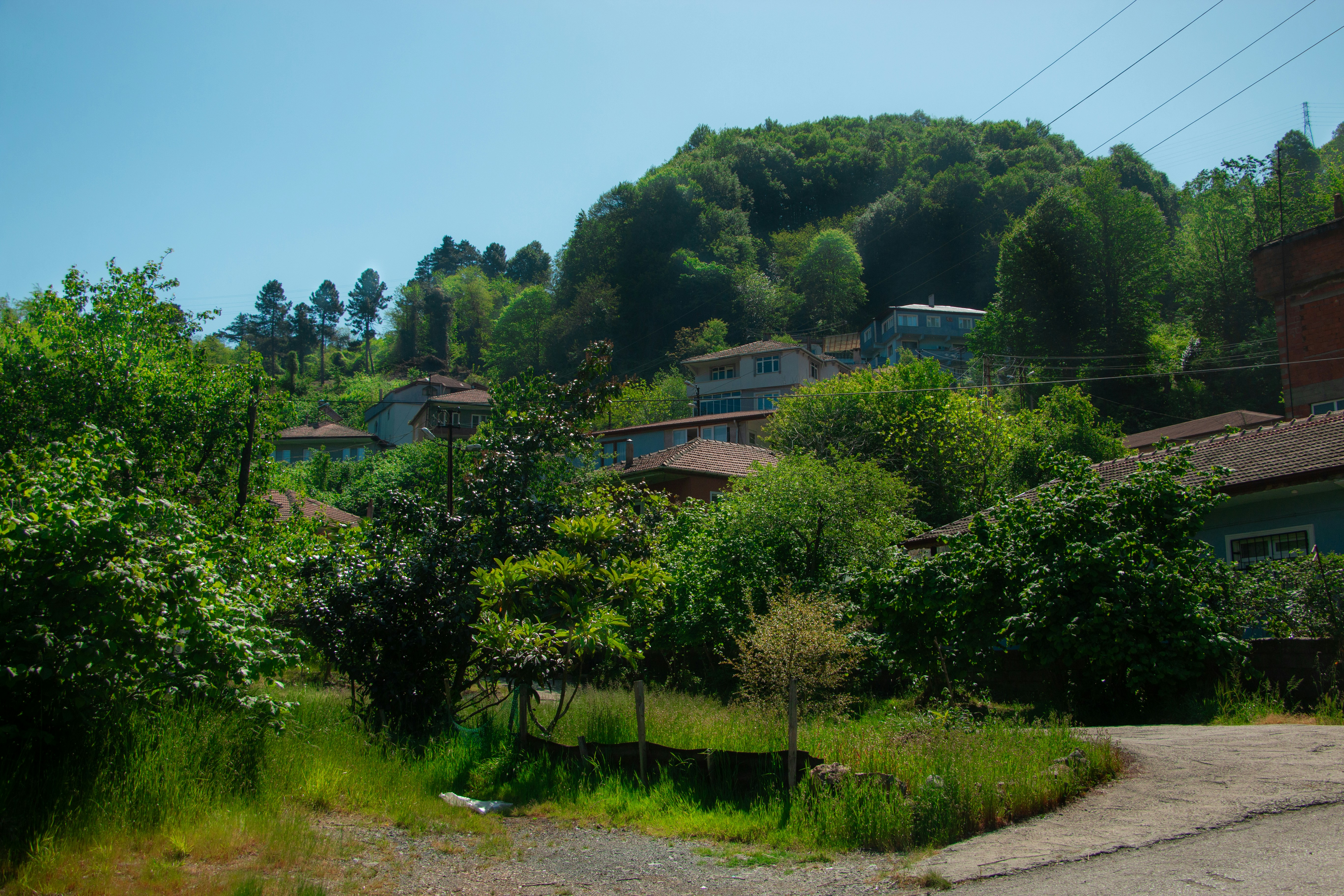 Photo by osicooked