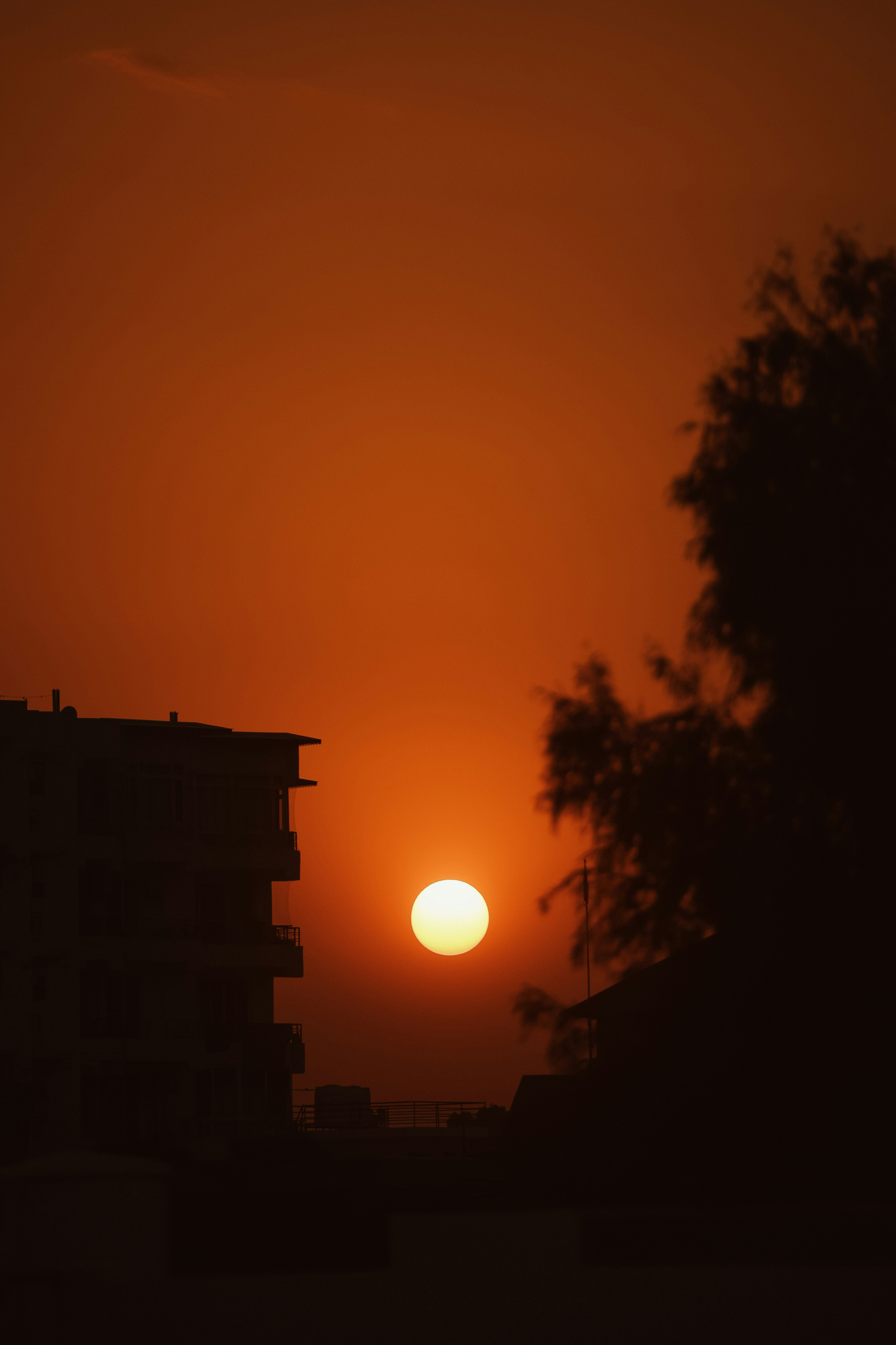 Photo by milinjohn