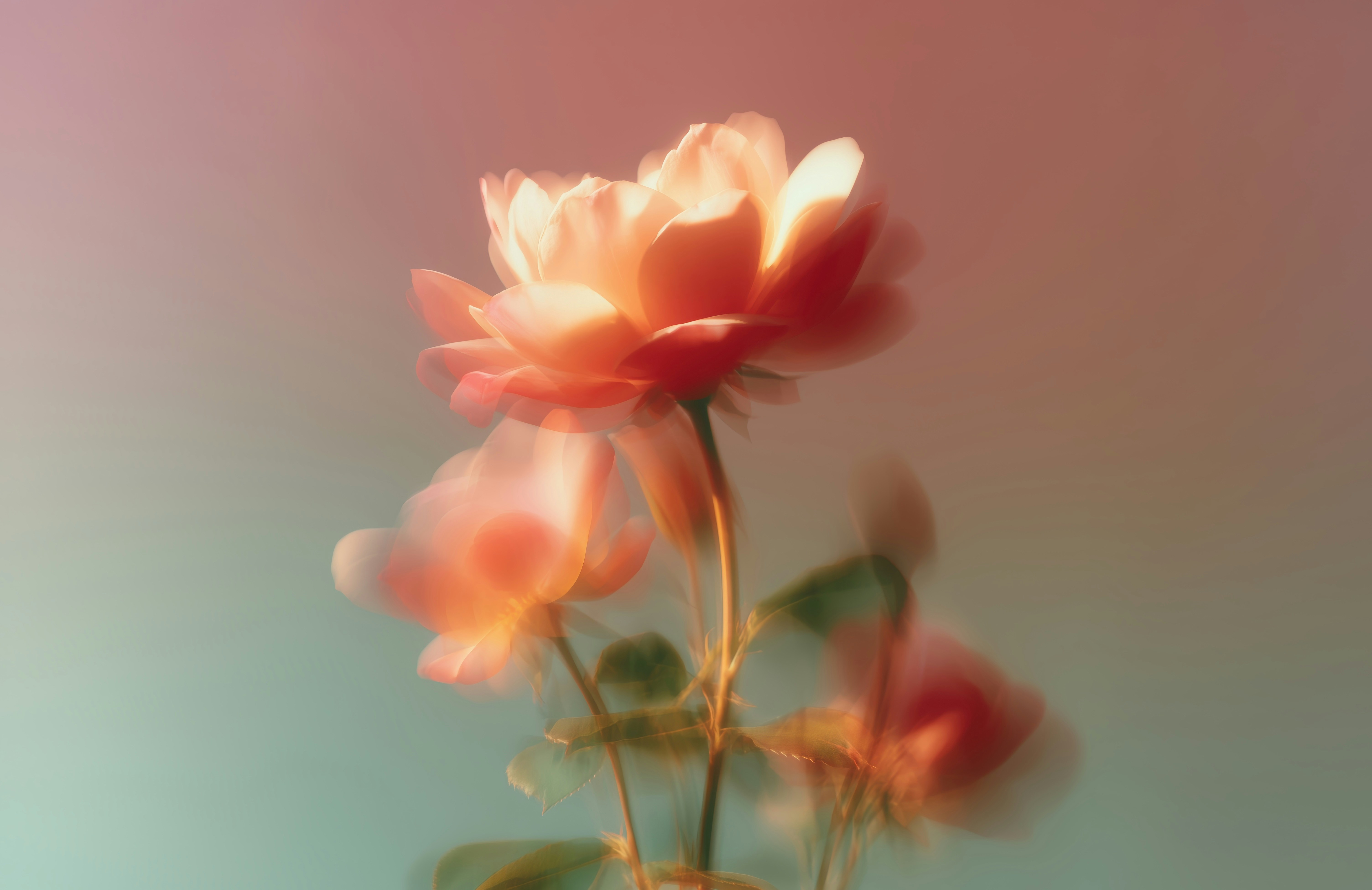 Photo by wallmaniac