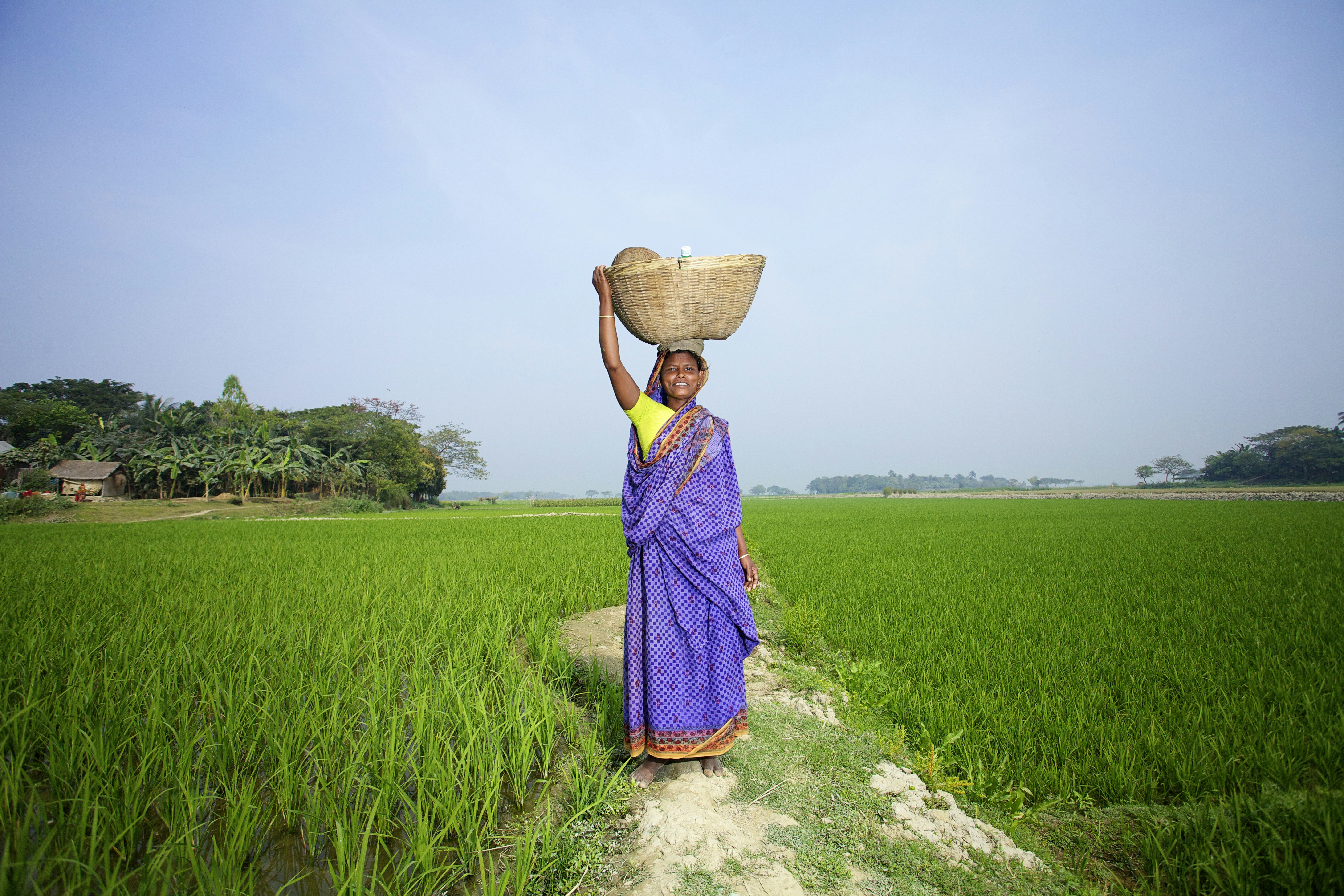 Farmer applying our fertilizer