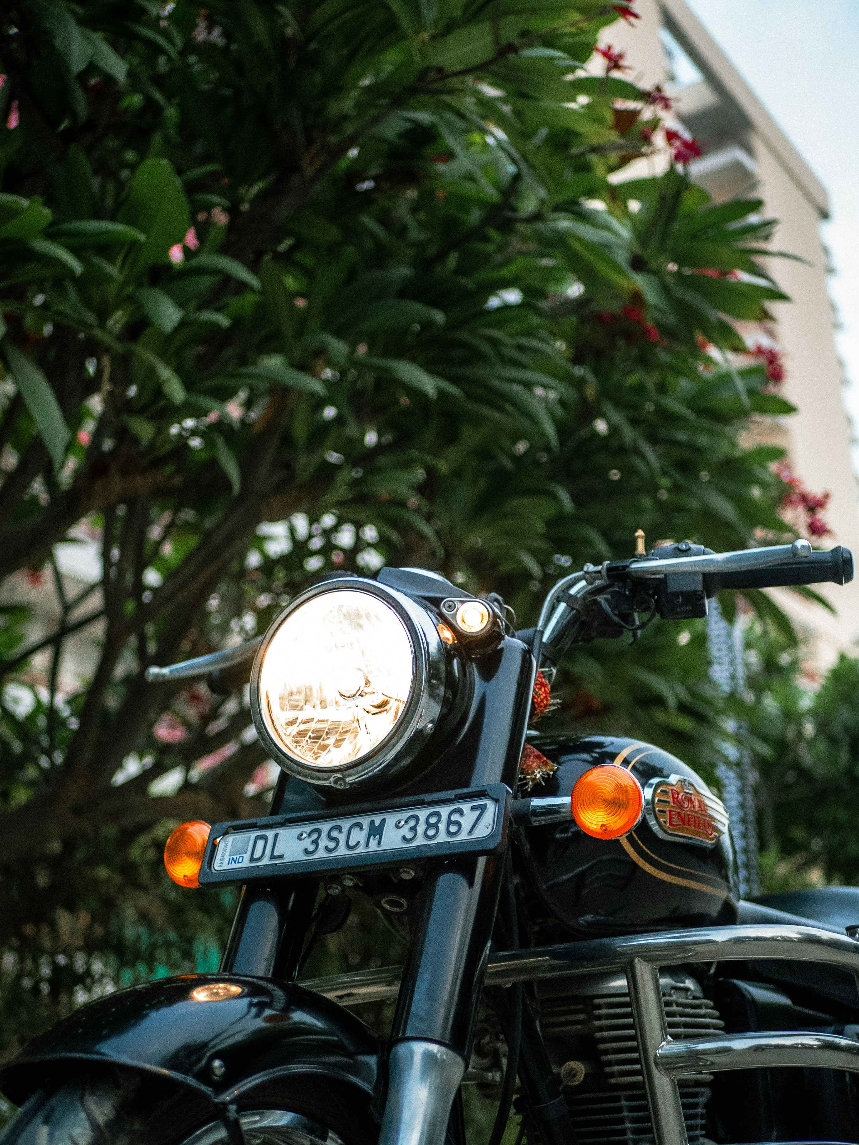 Photo by iaman_upadhyay