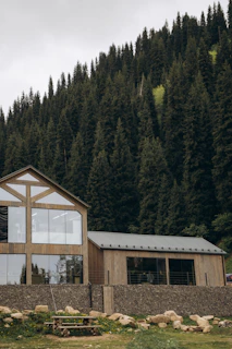 Modern wooden buildings nestled against a dense evergreen forest.