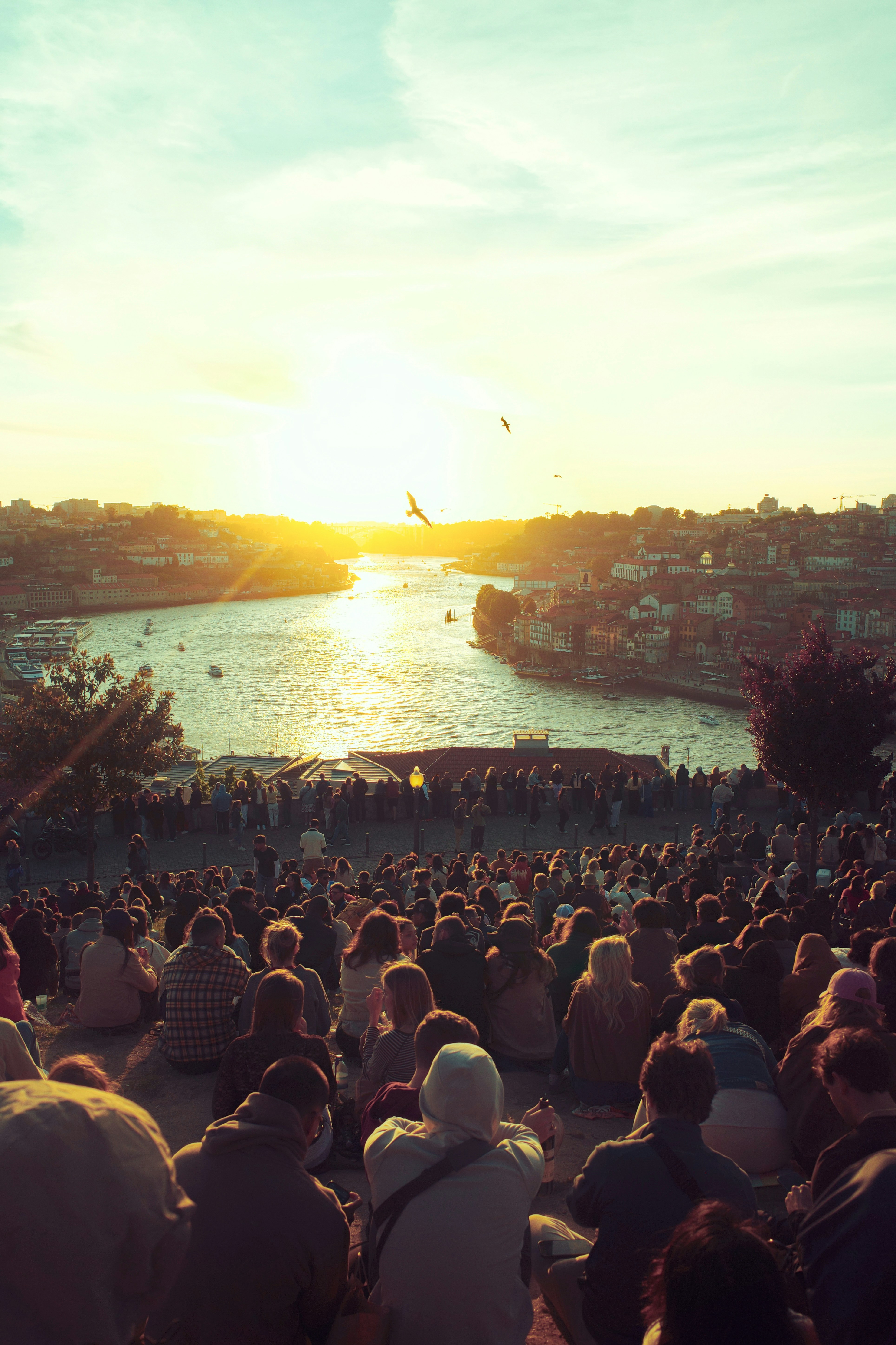 Festa de São João (Porto, 23–24 June): What Actually Happens
