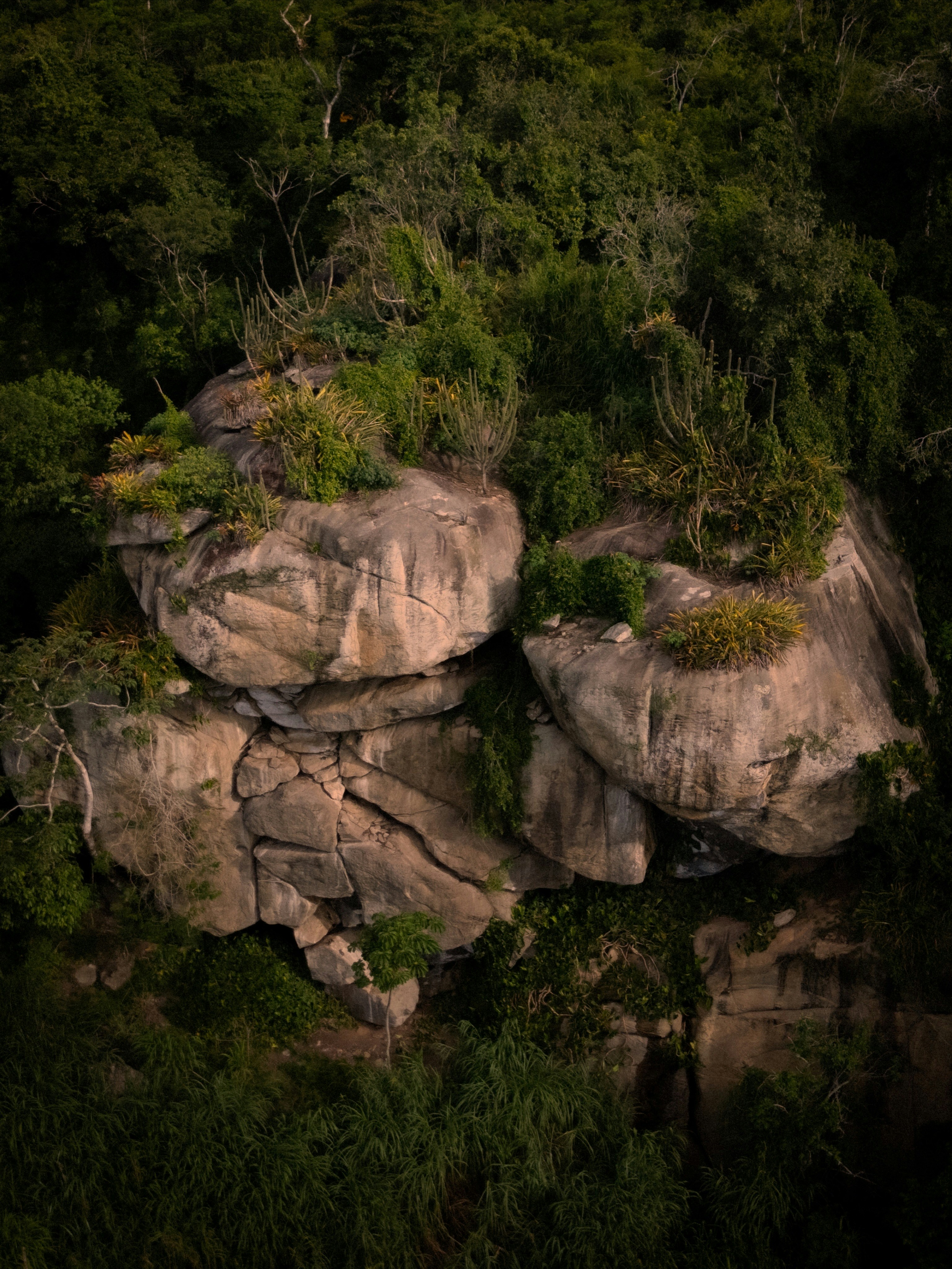 Large rock formations covered in green vegetation within a forest.