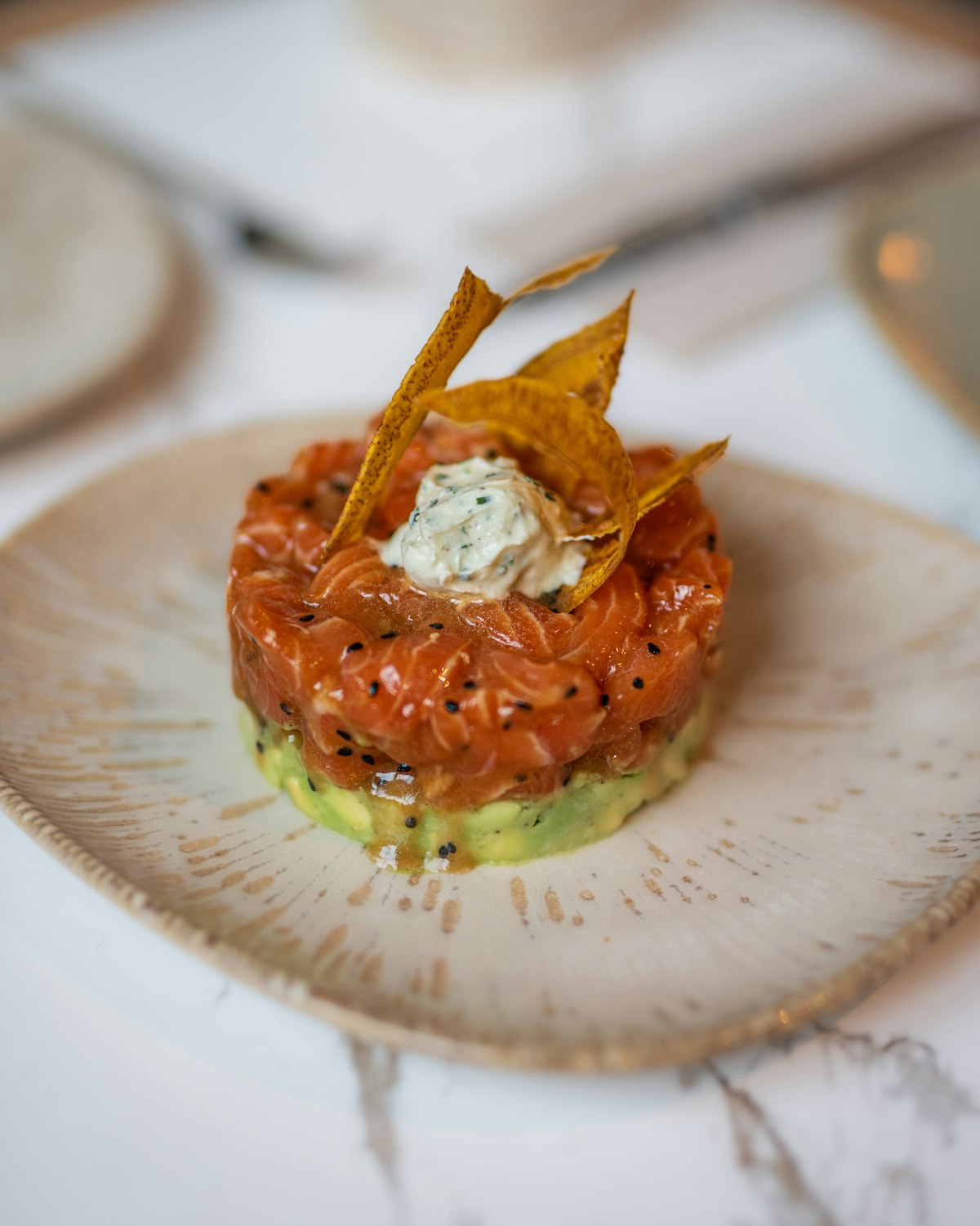 Tartare di salmone con avocado e croccante di pane