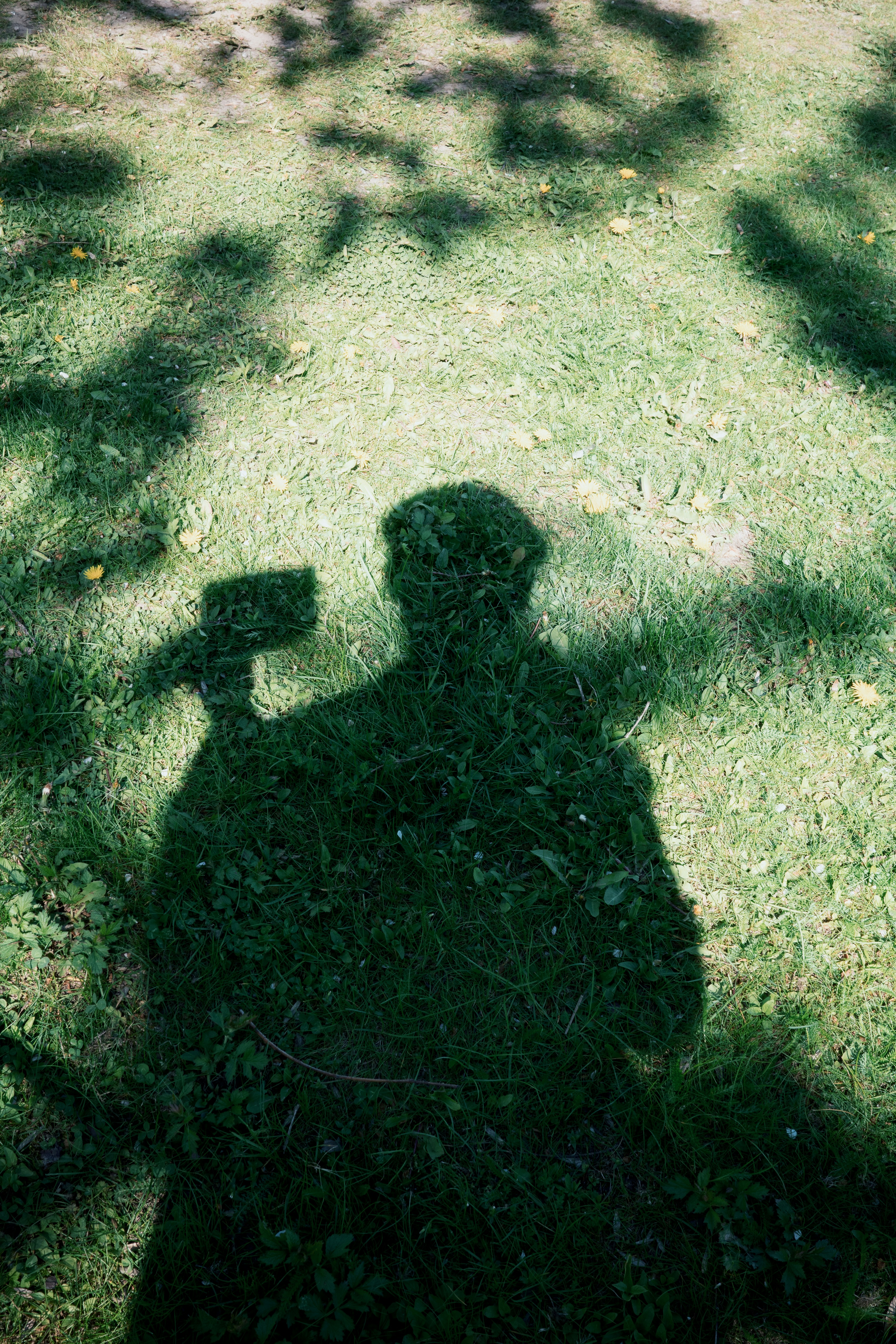Shadow of a person holding a camera on green grass.