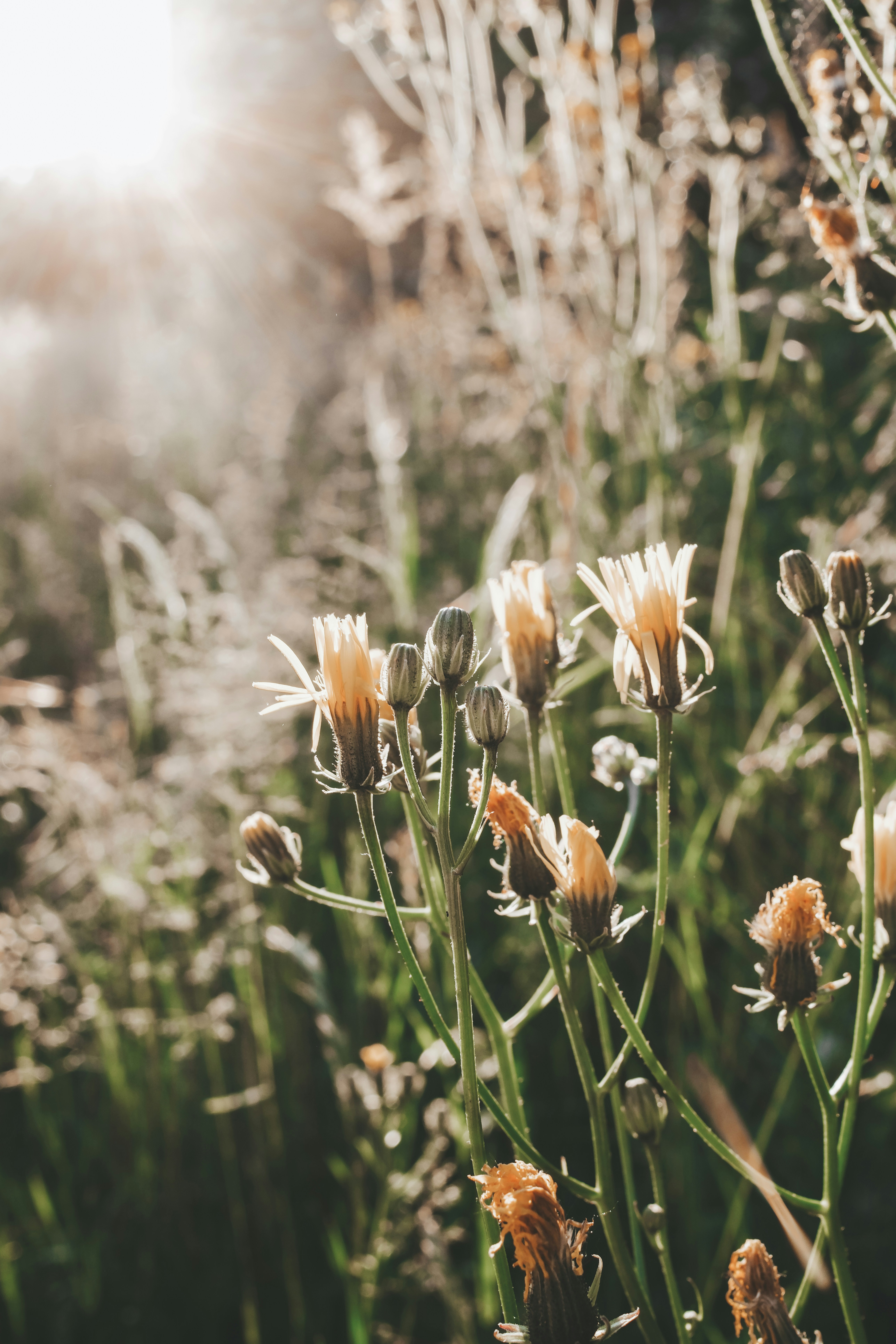 Photo by emilipothese