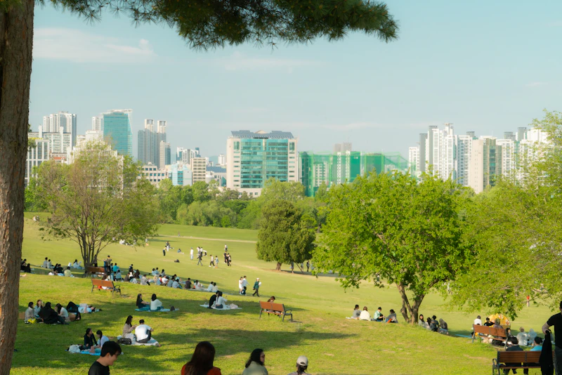 Best Free Things to Do in Seoul That Cost Absolutely Nothing