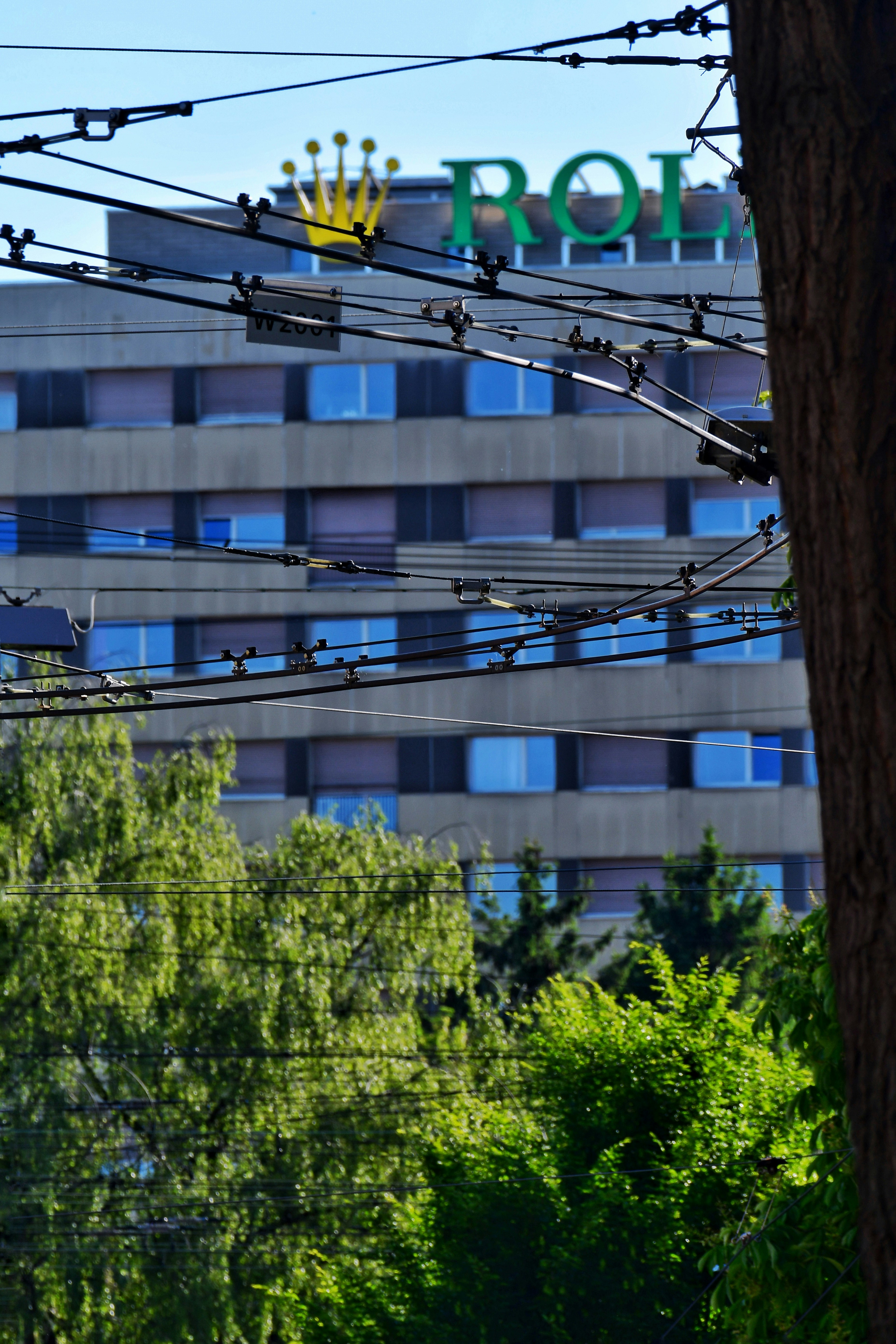Immeuble Rolex avec des lignes électriques et des arbres verts au premier plan.