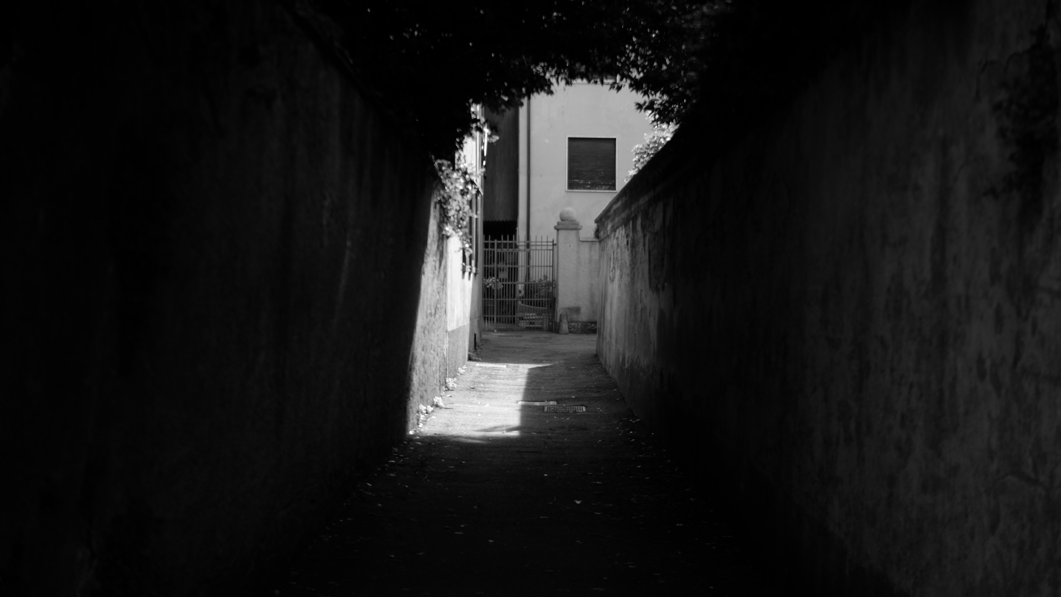 Photo by tomaudagna