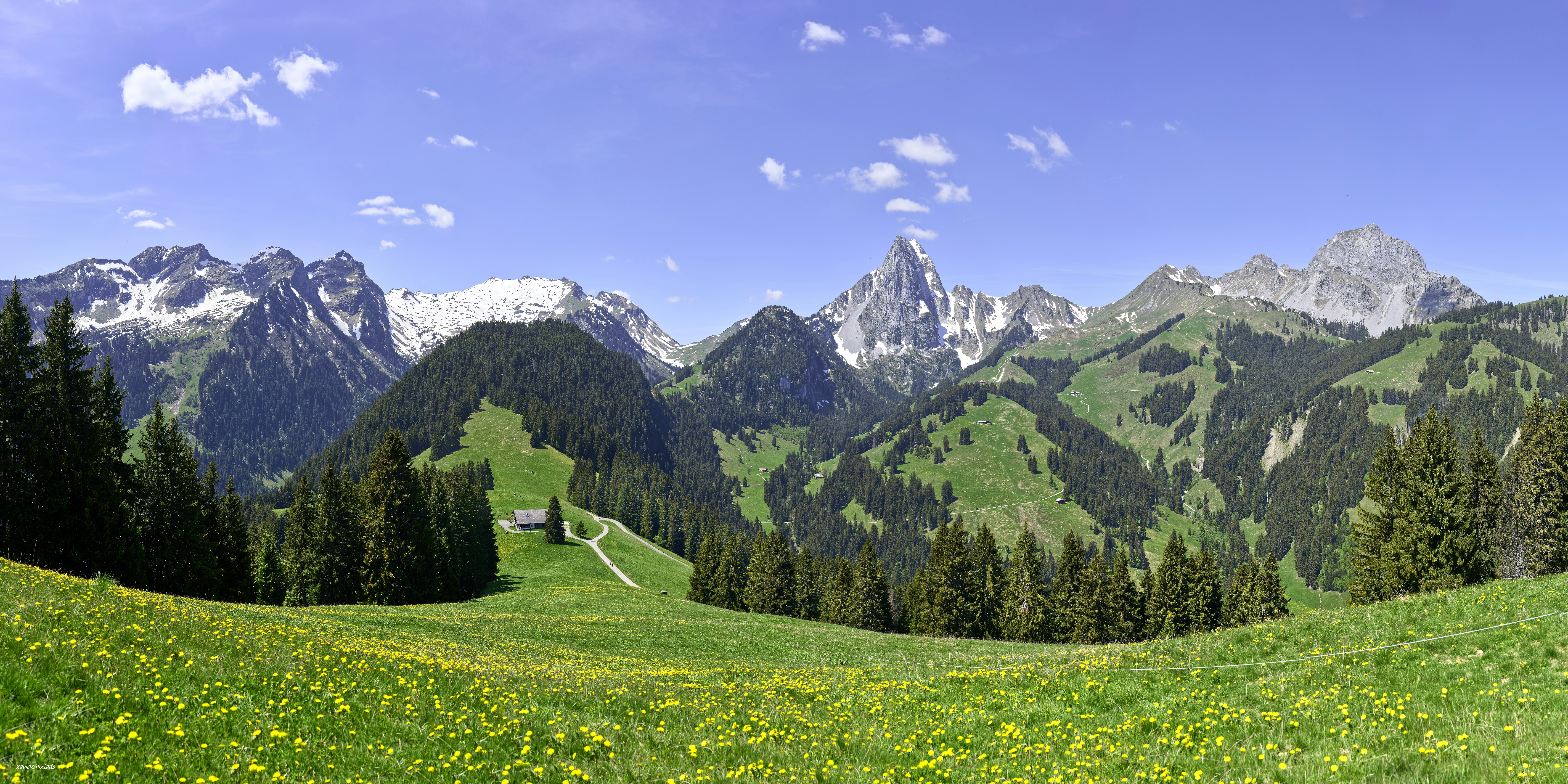 Photo by xavier_von_erlach