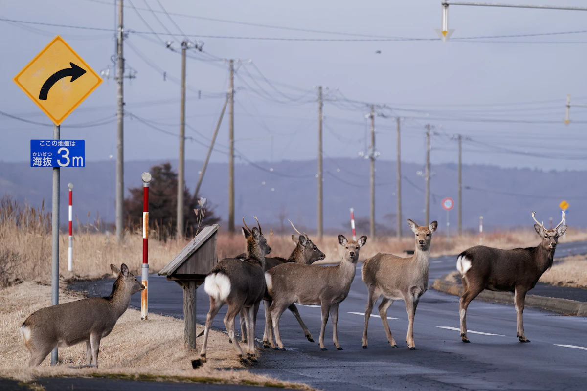 Flock Safety surveillance camera installed on a pole next to a highway