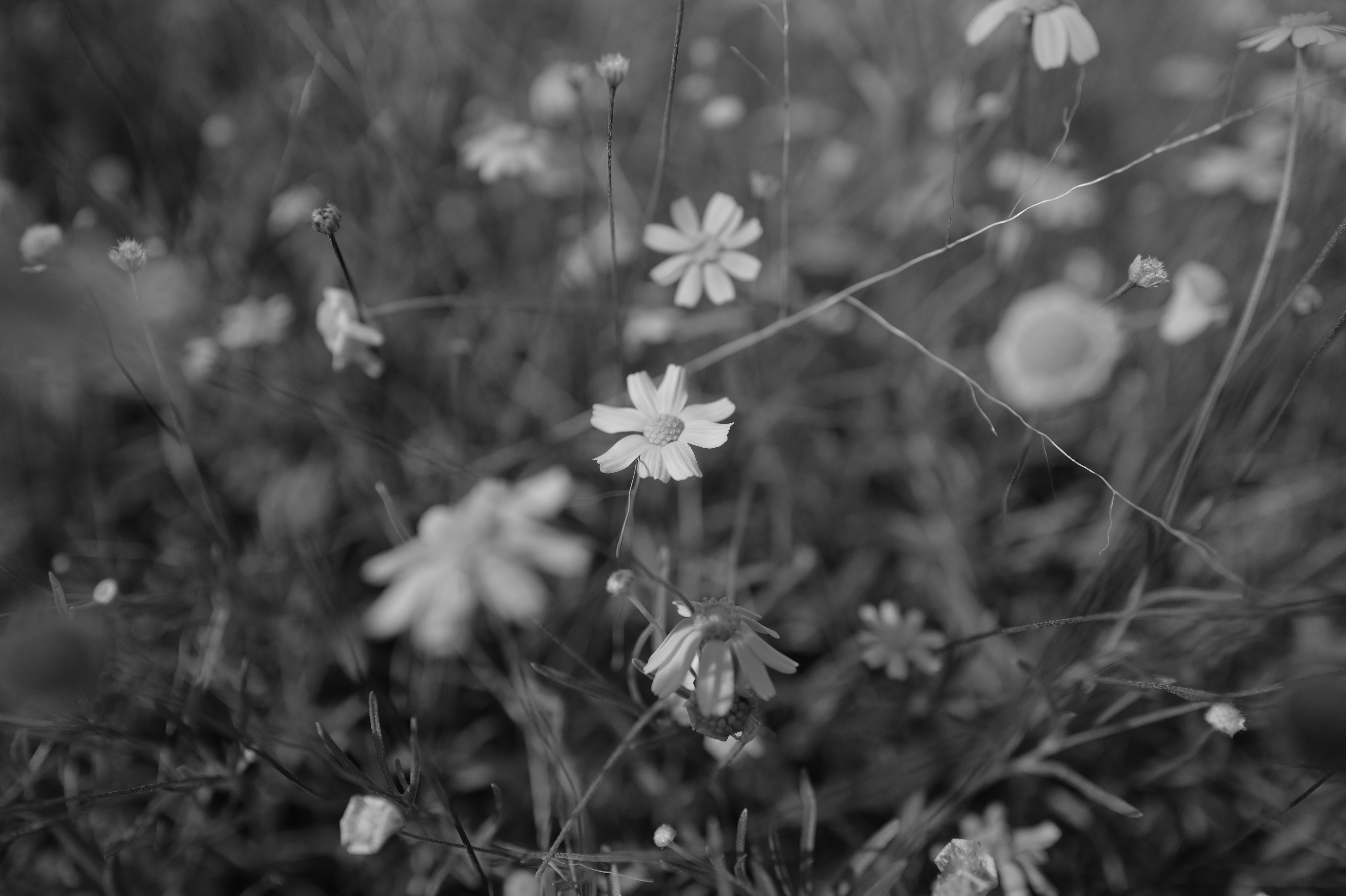 Photo by co