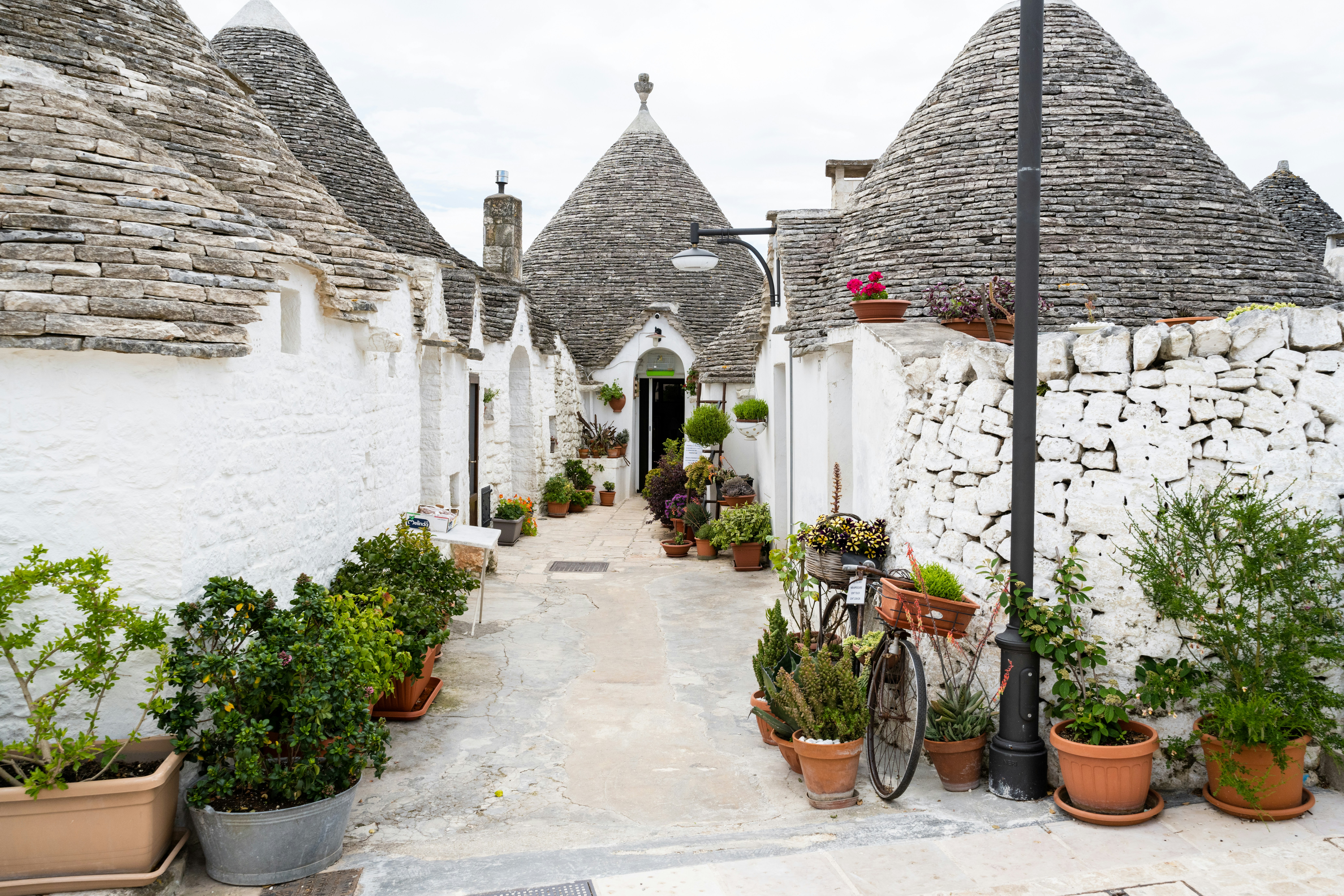 Narrow street lined with traditional trulli houses and potted plants.