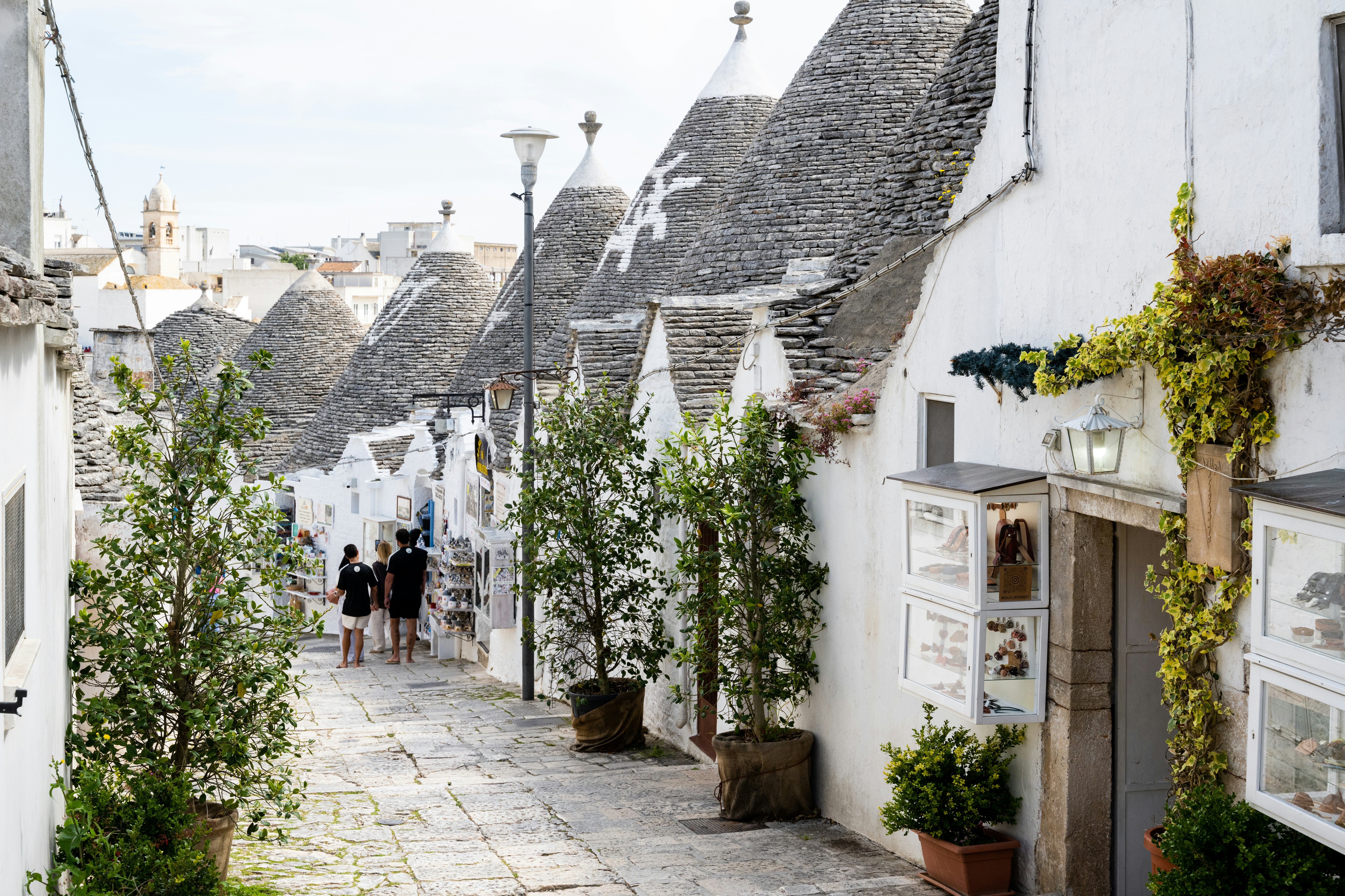 White trulli houses line a charming, narrow cobblestone street, Alberobello, Metropolitan City of Bari, Italy