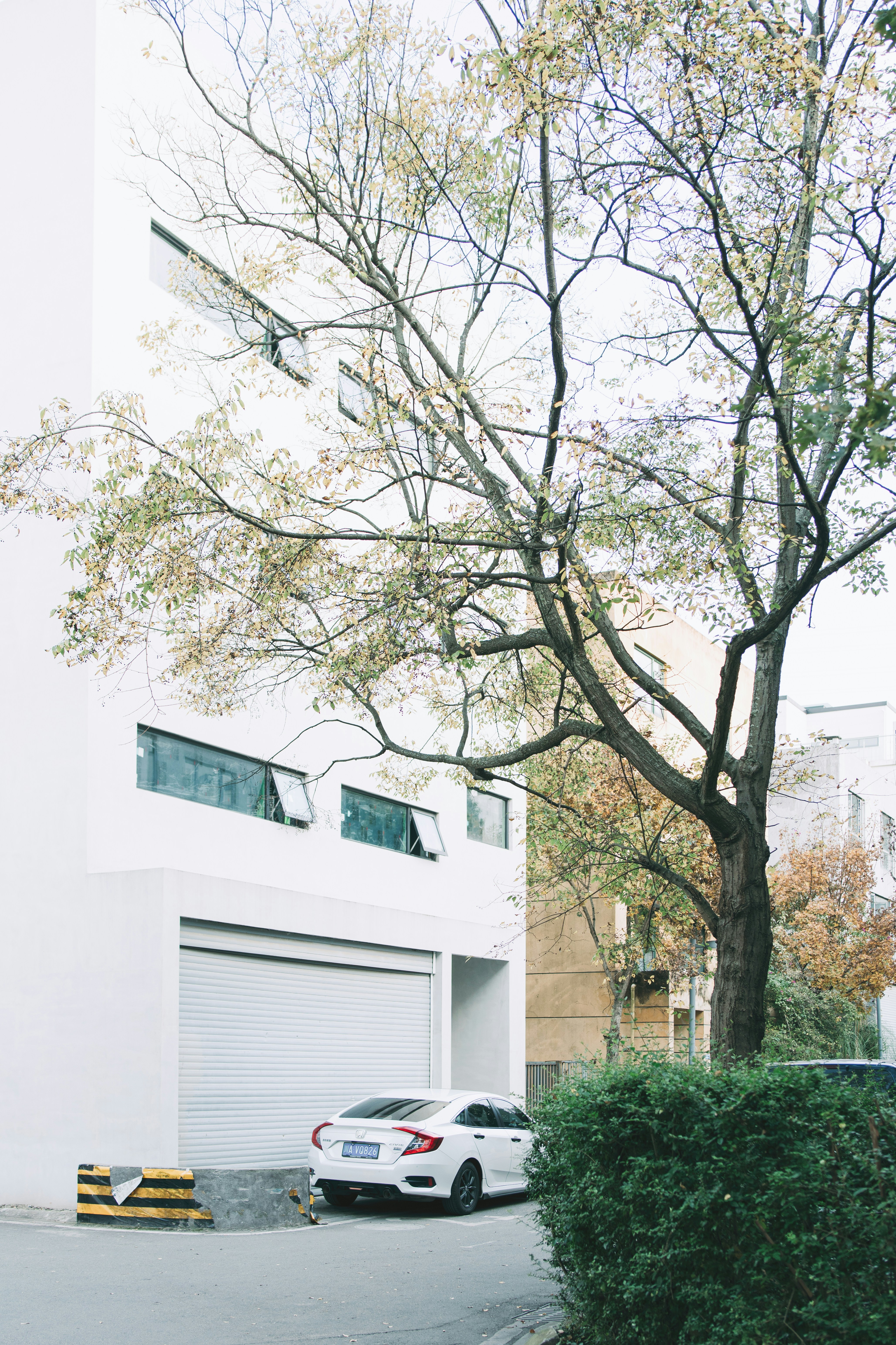 Photo by leongsan