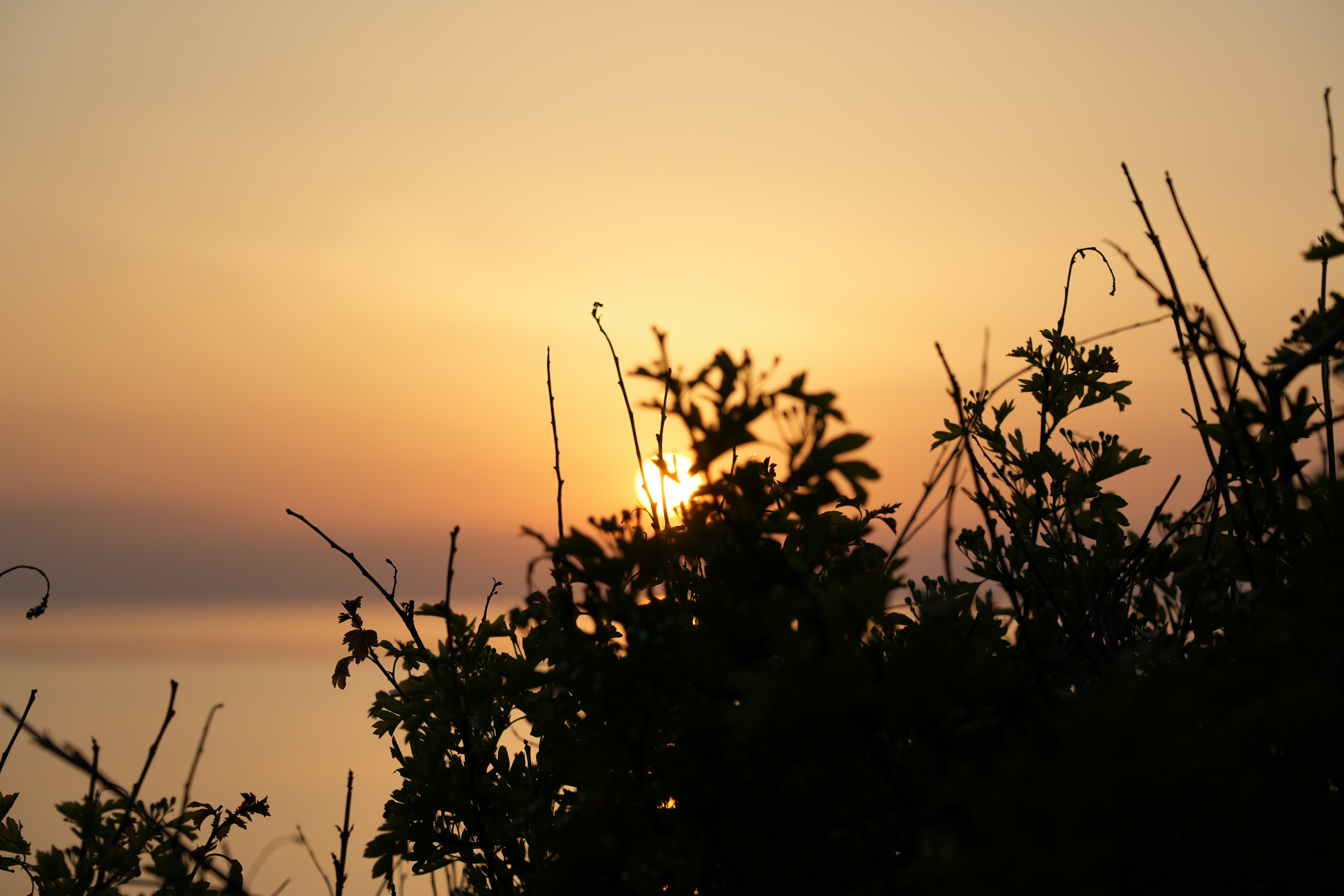 Photo by antjewinkler