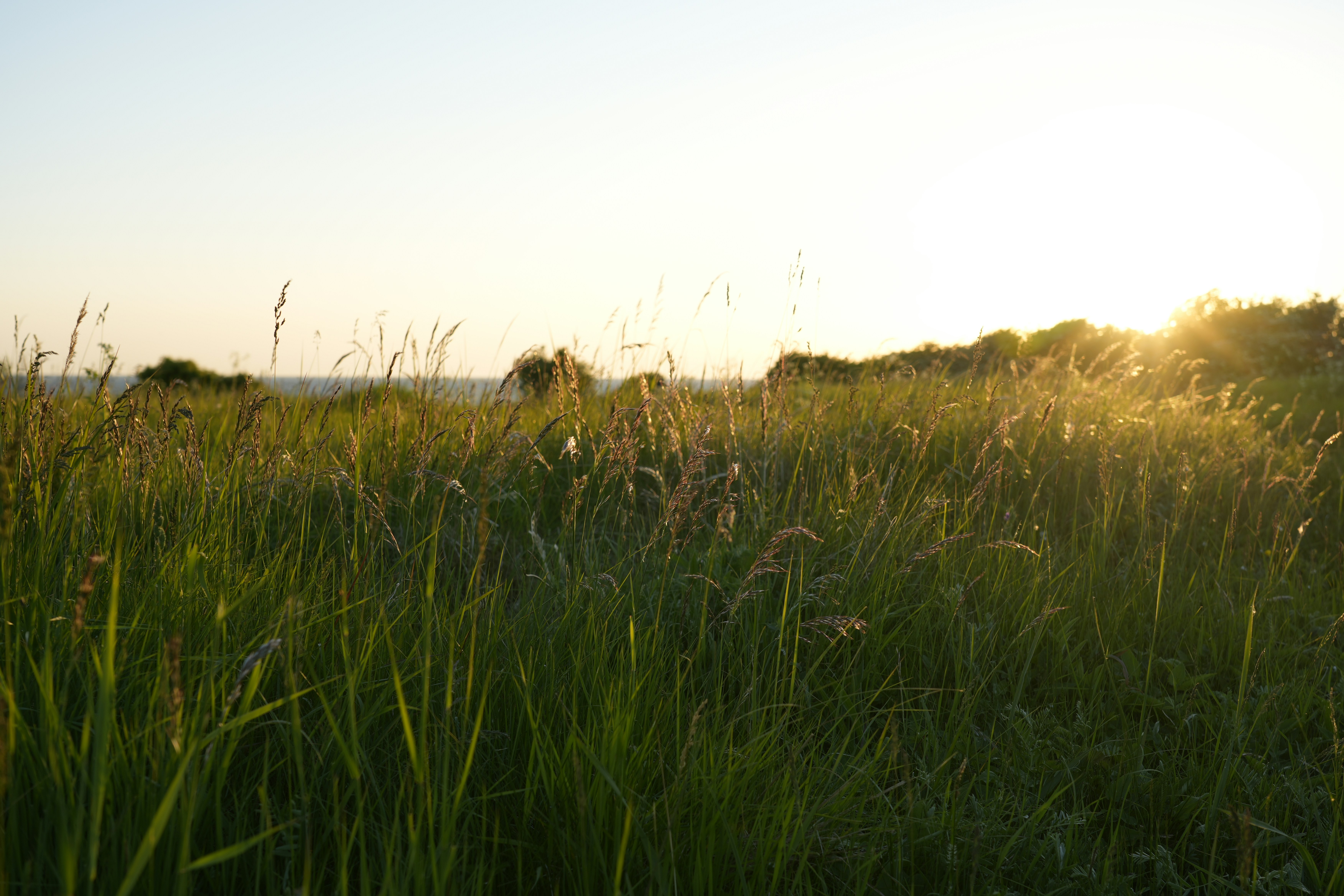 Photo by antjewinkler