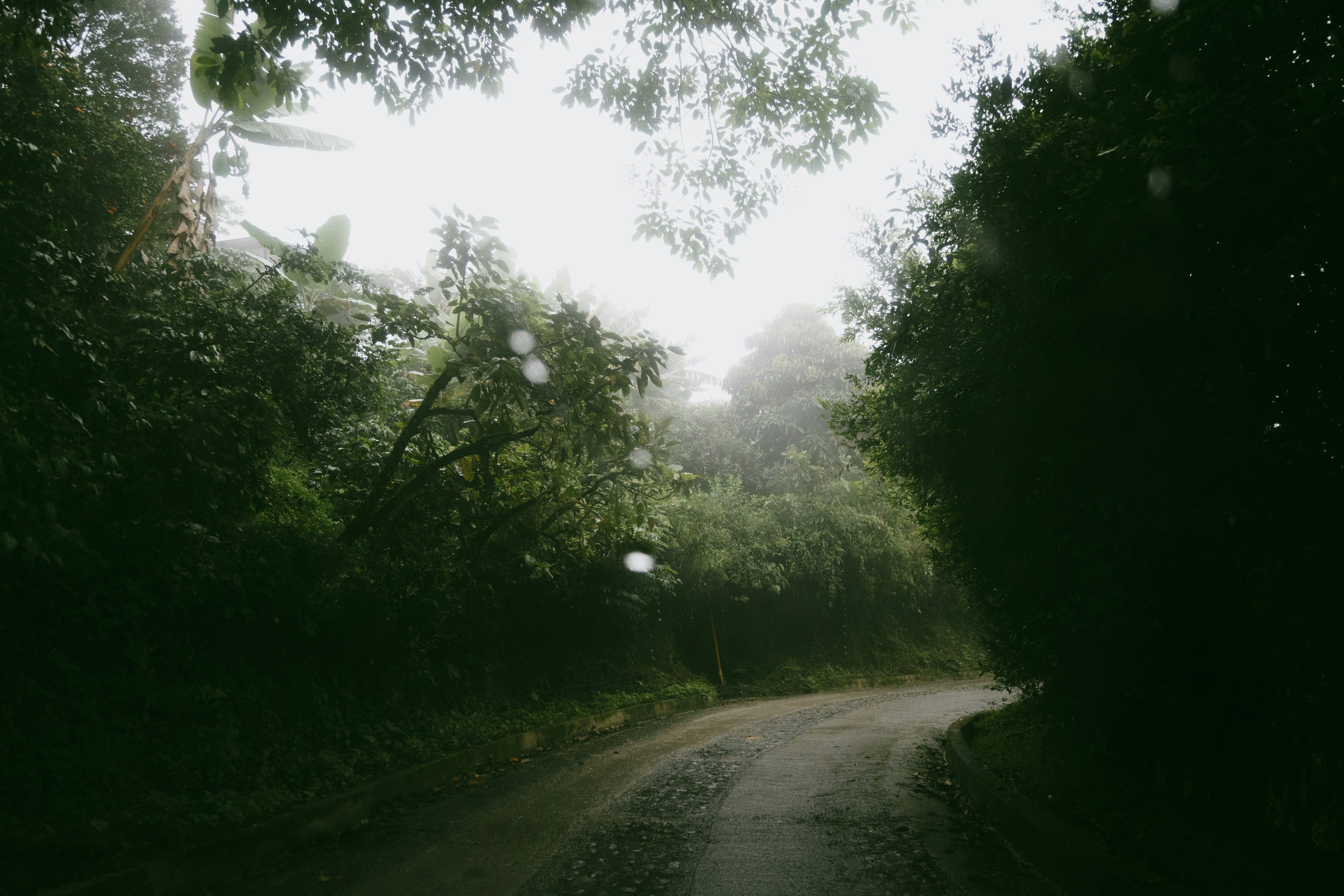 Photo by cherryland