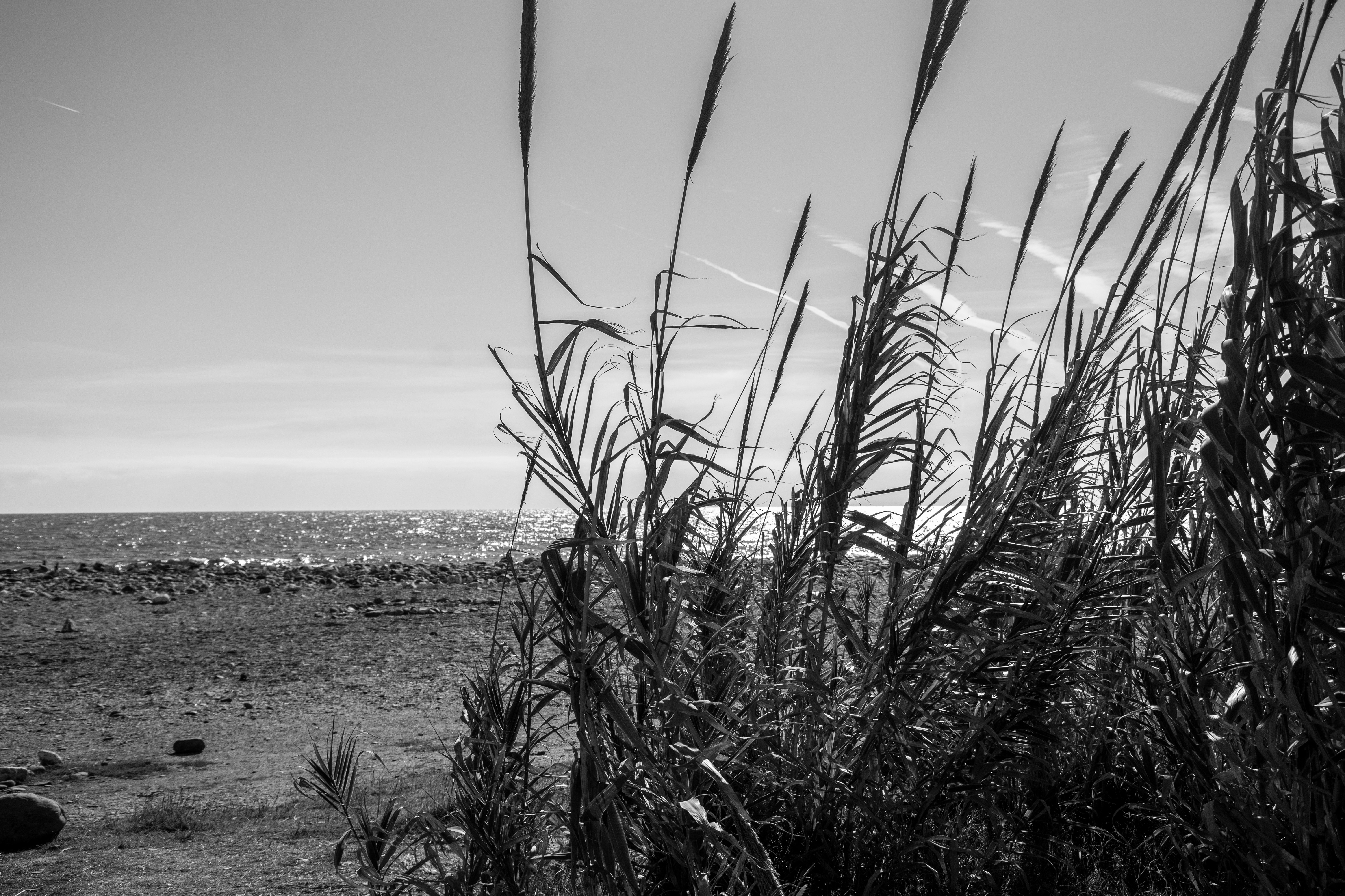 Photo by wedesignmarbella