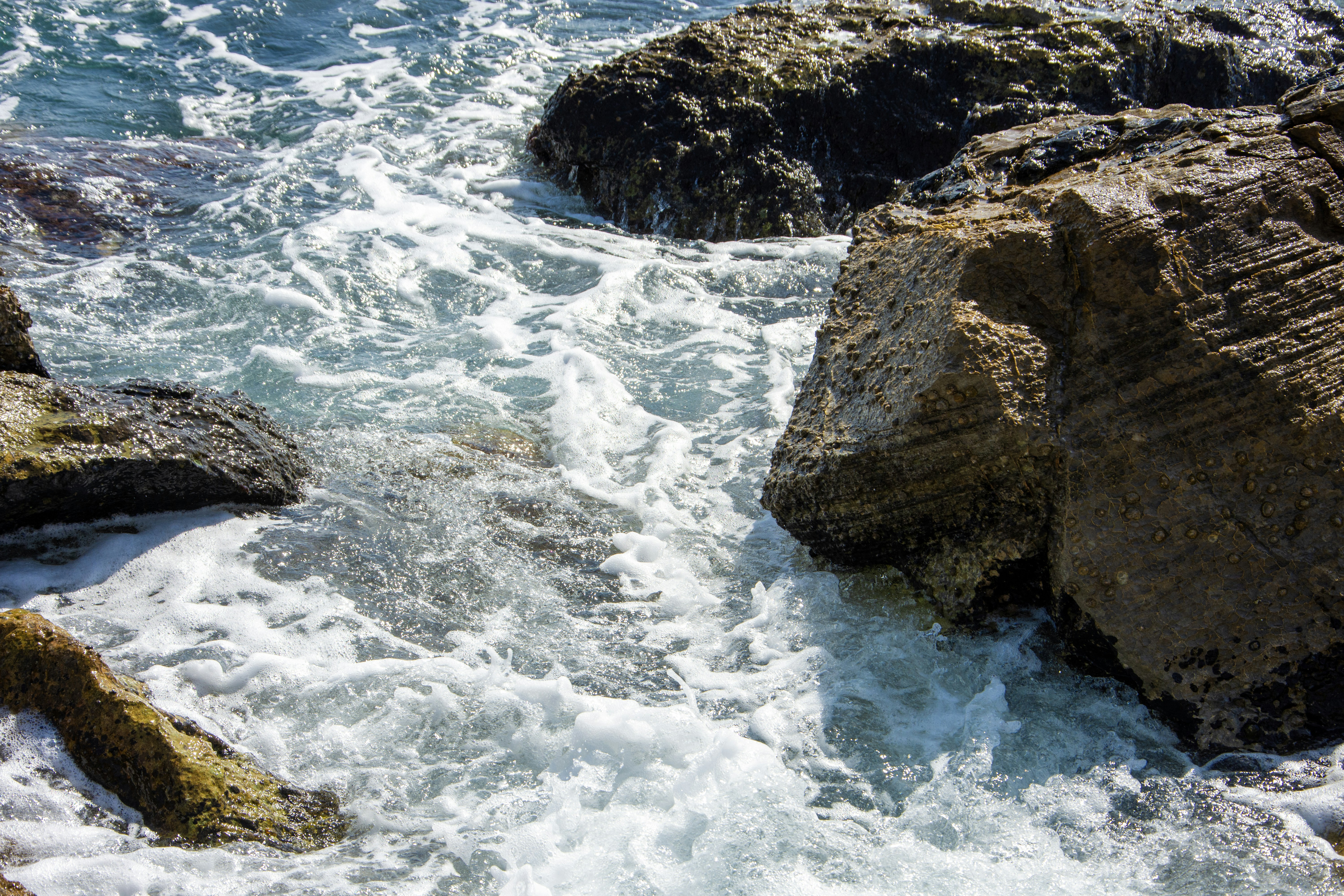 Photo by wedesignmarbella