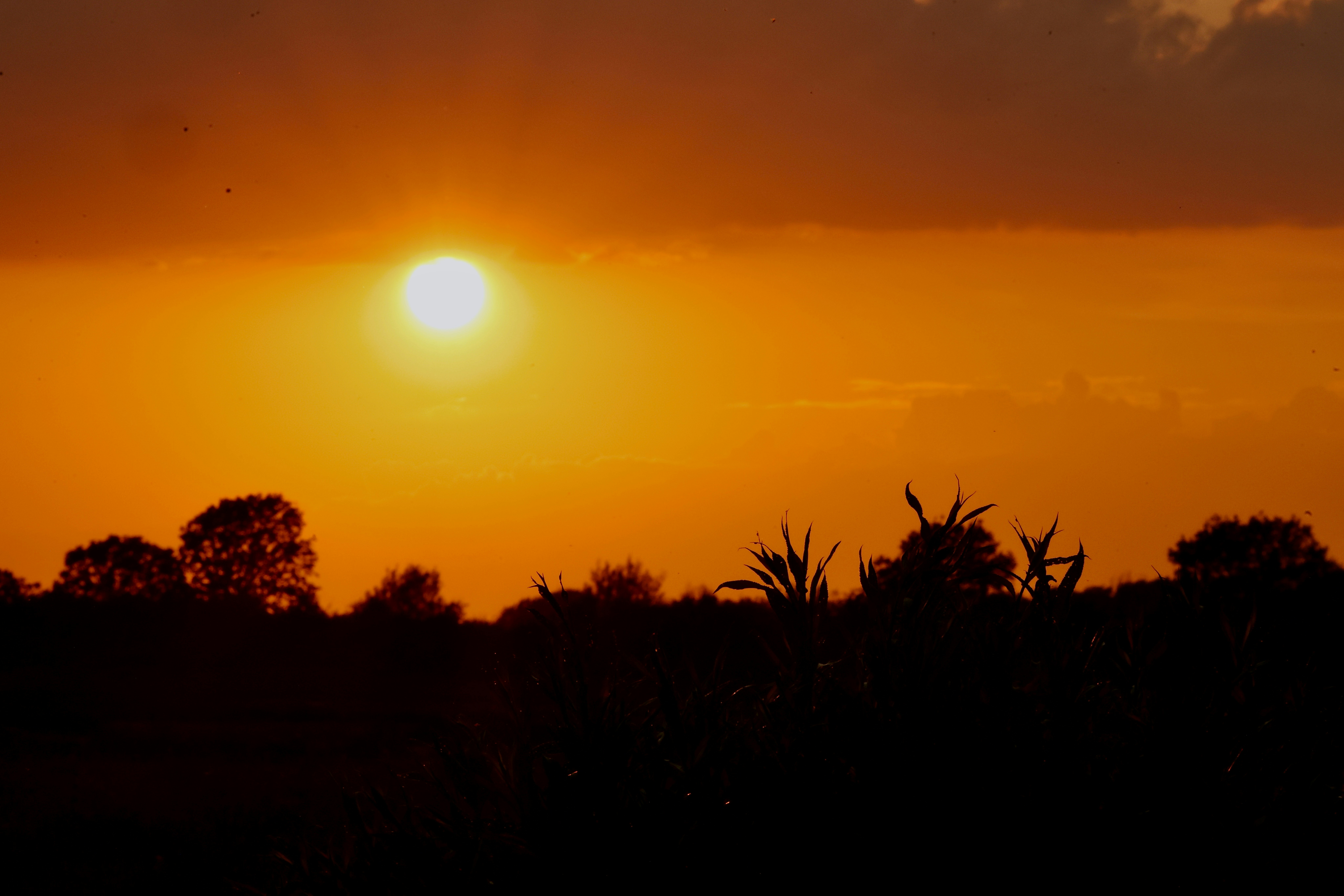 Photo by tumbao1949