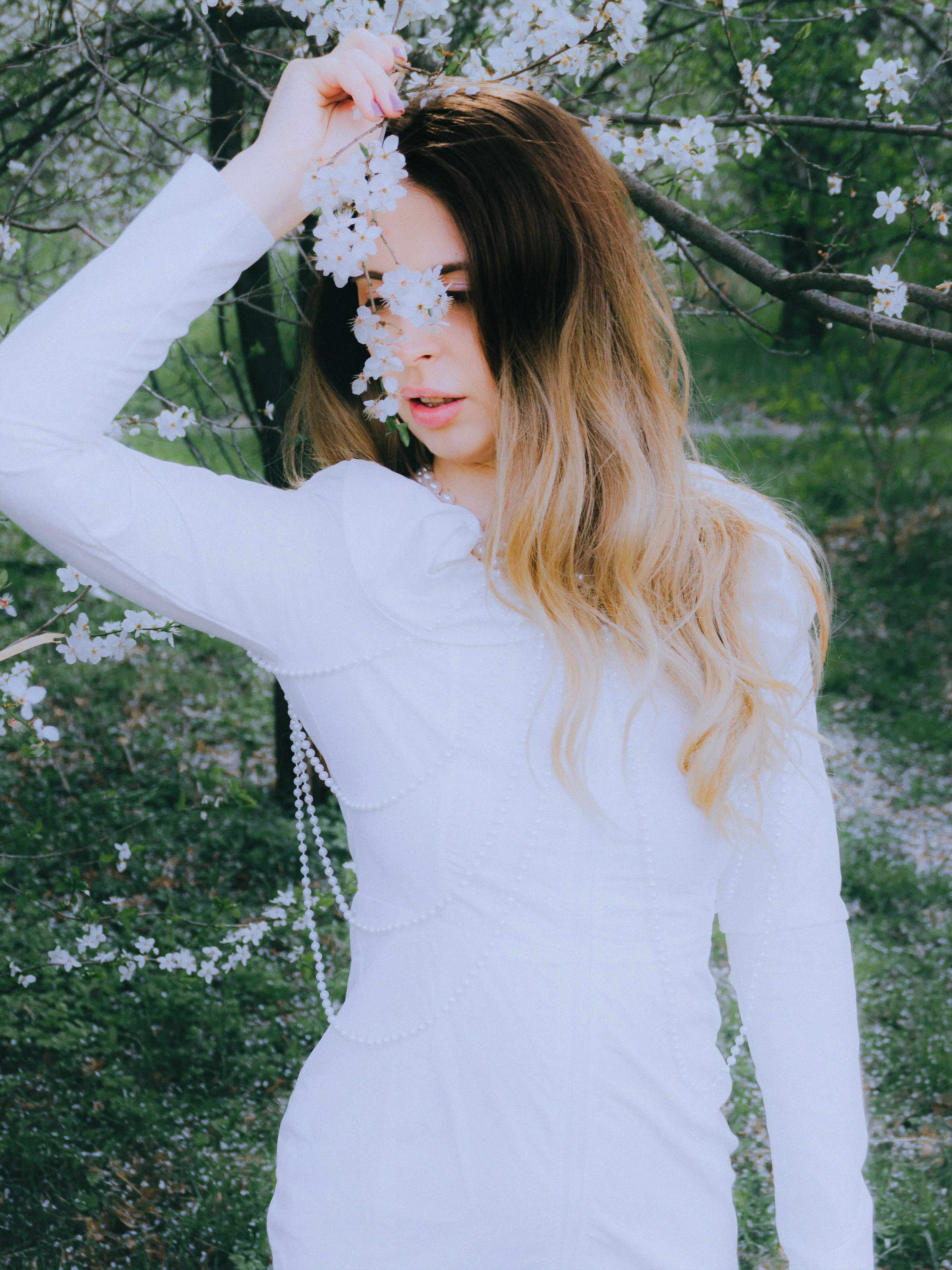 Photo by freddieaddery