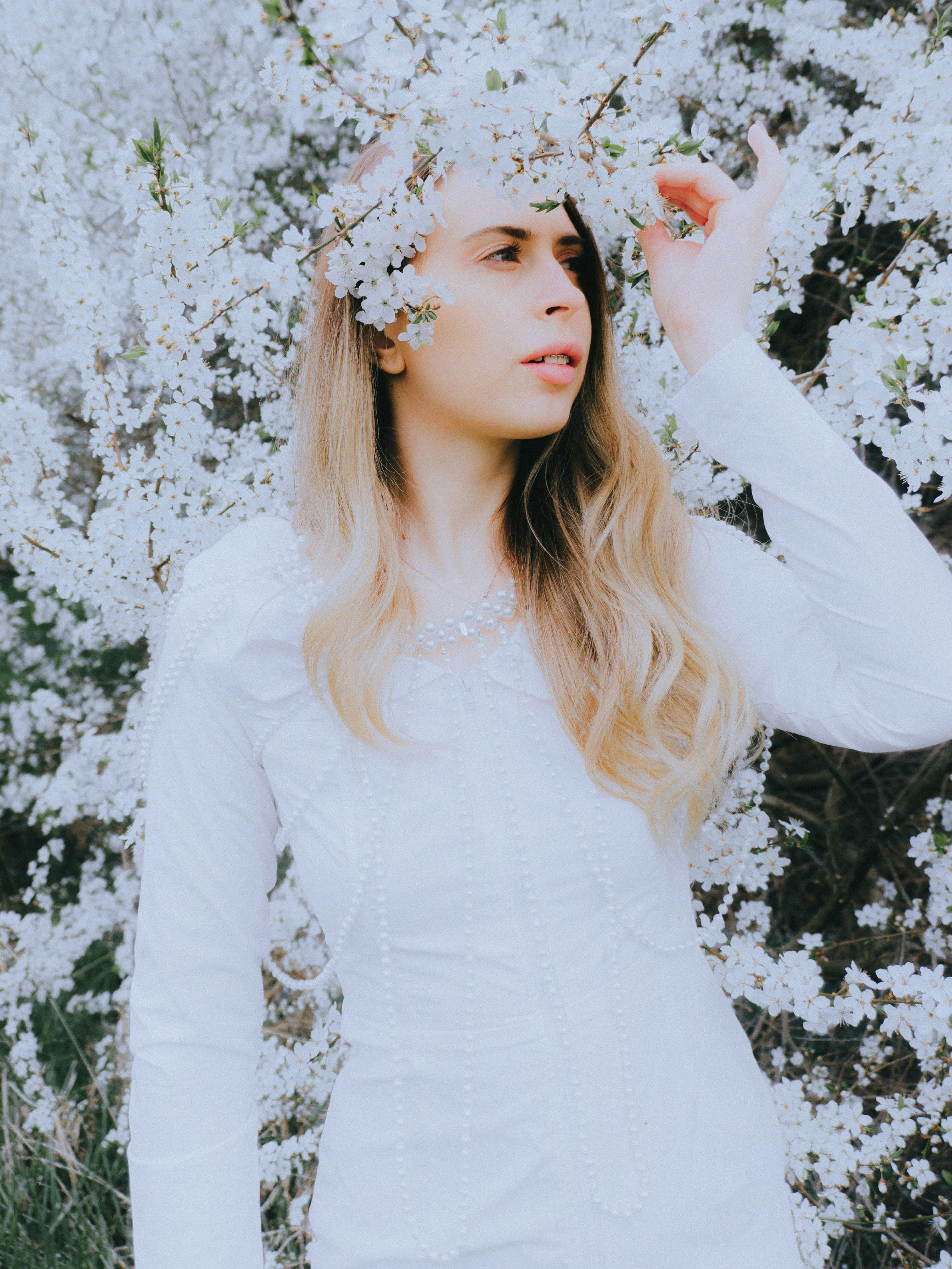 Photo by freddieaddery